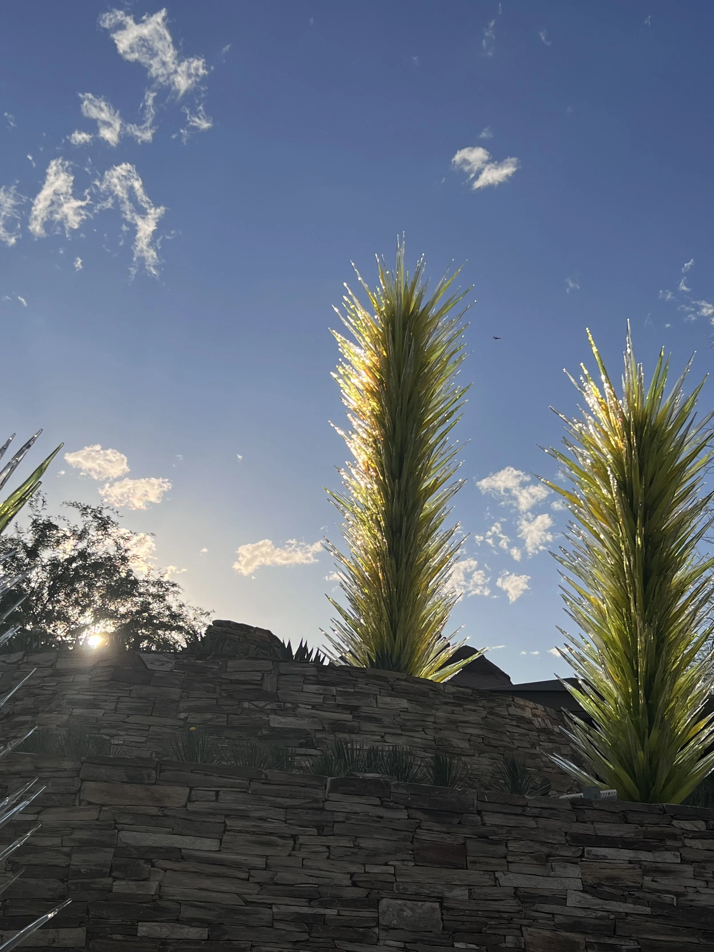 The Desert