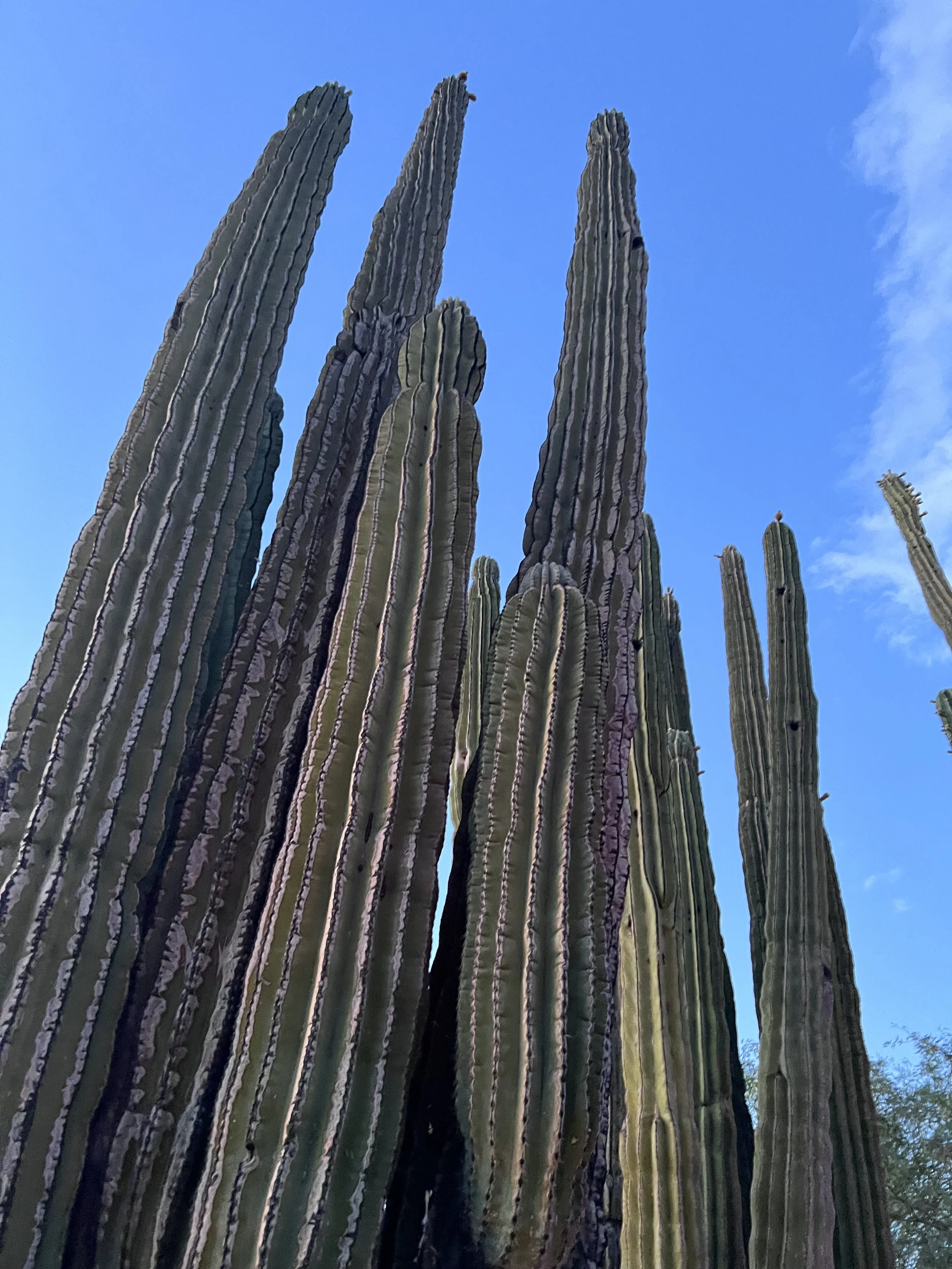 Creative Process: The Desert