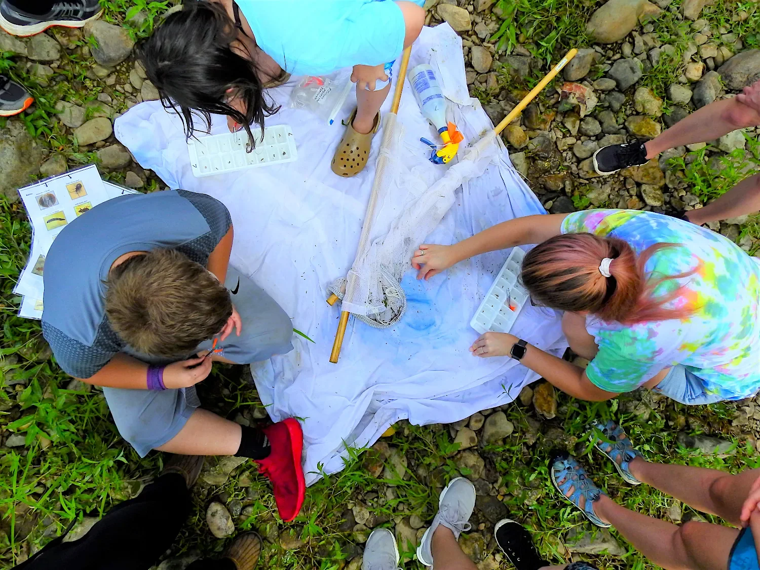 Children sorting through aquatic insects during a summer camp session