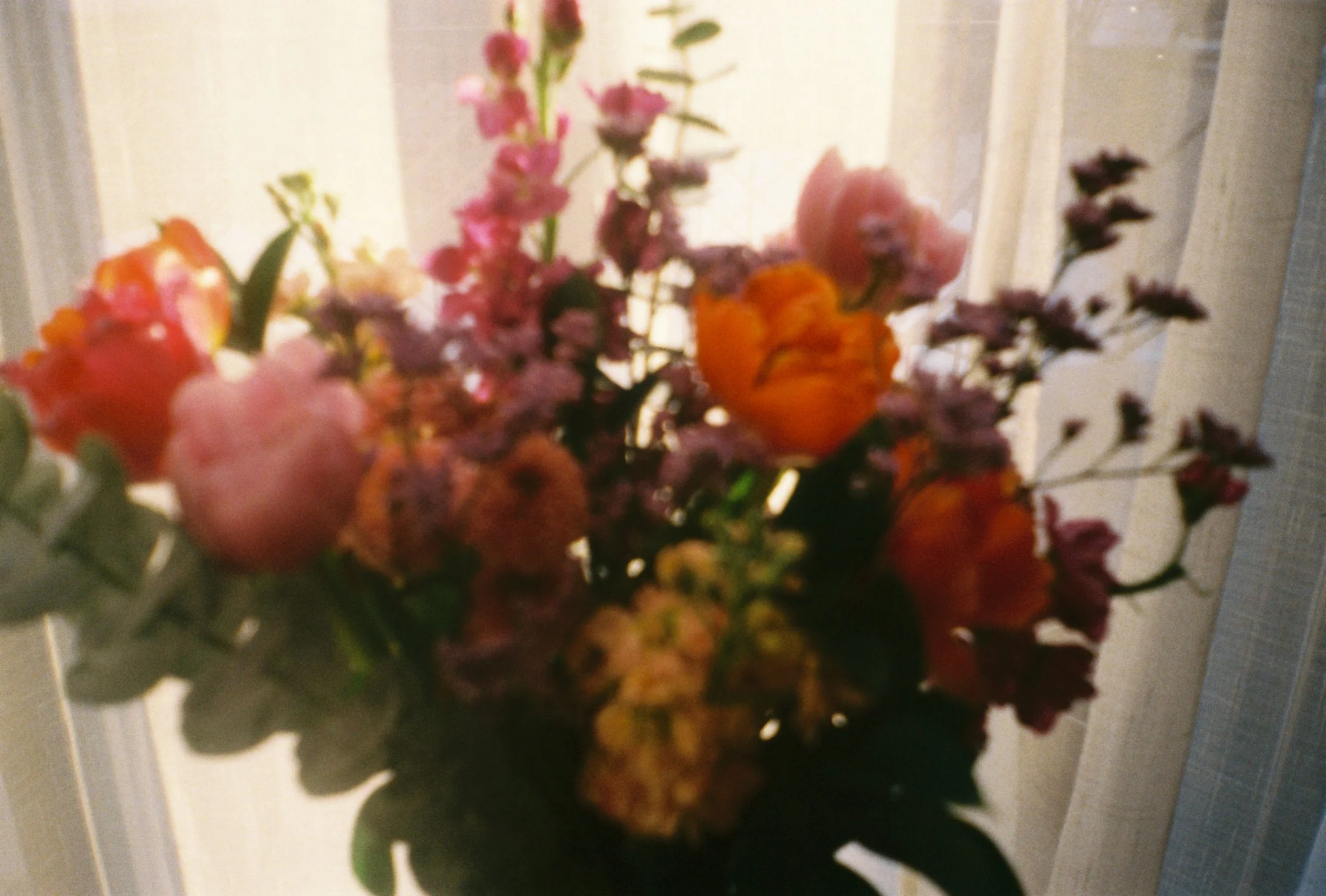 154948t6656-R1-07-5A.JPG