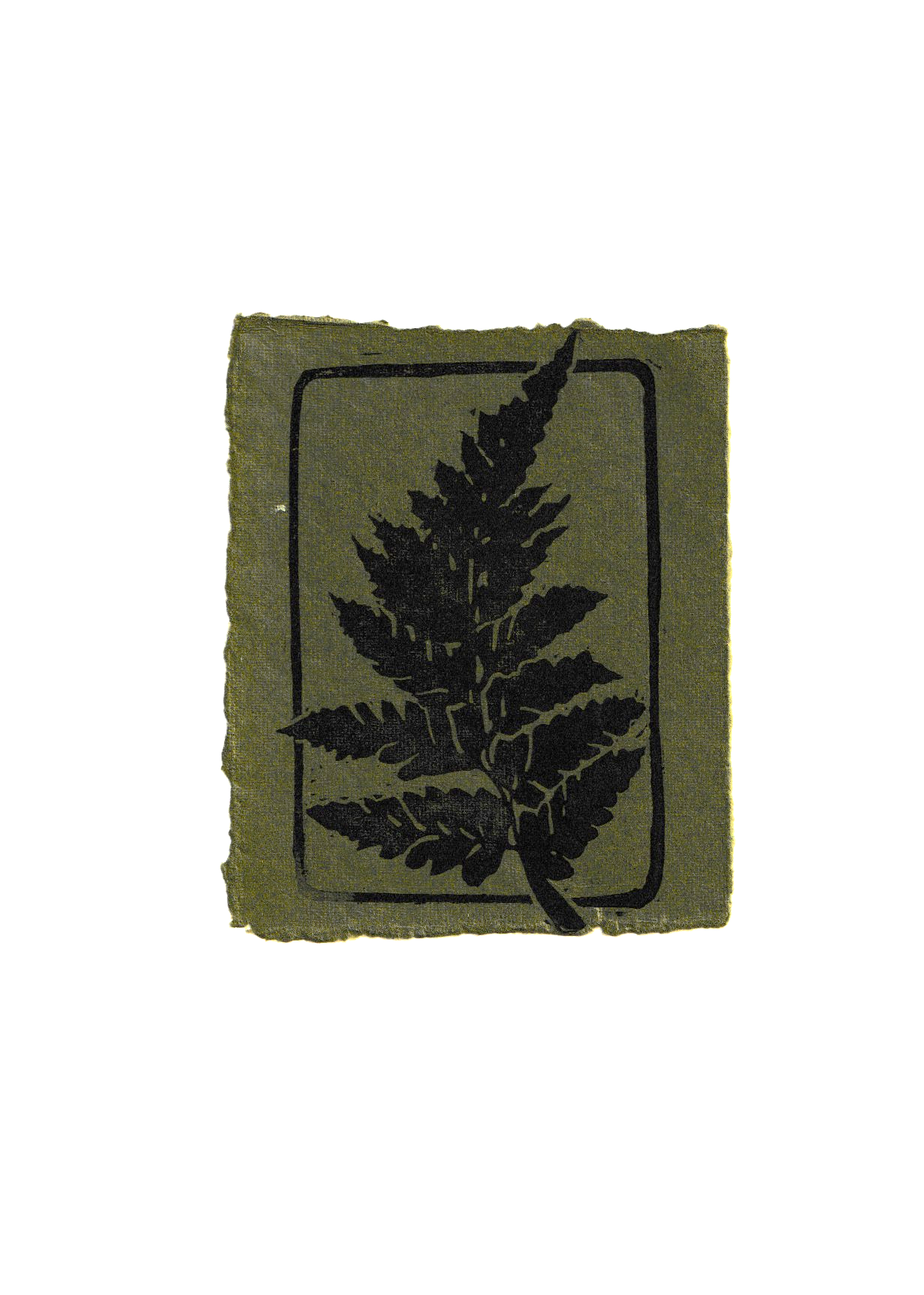 Green Fern.png