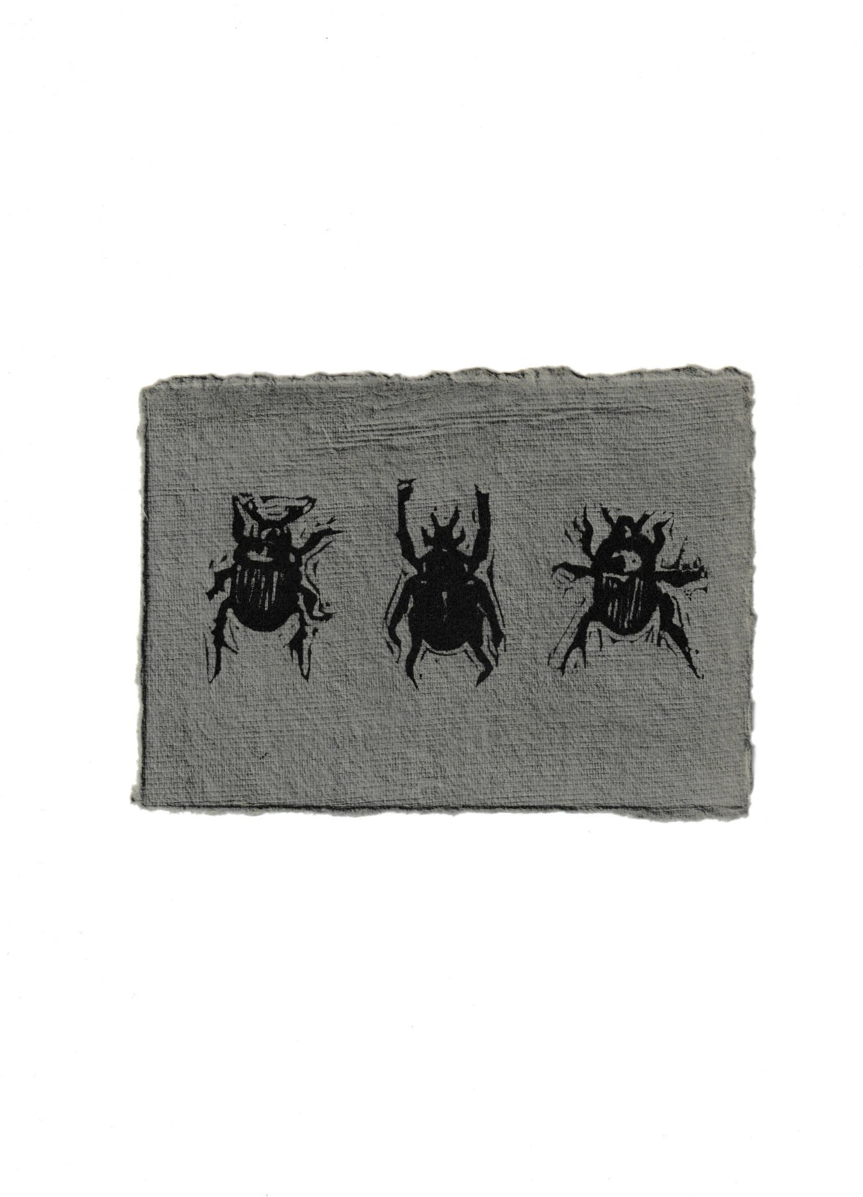 Three Beetles Grey.png