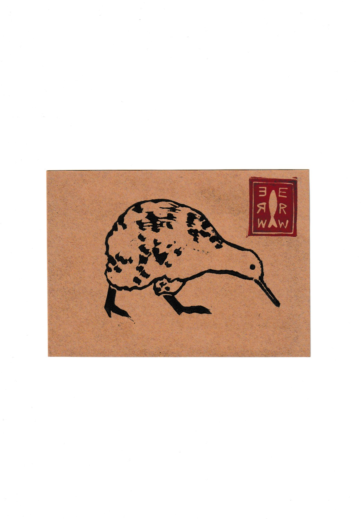 Kiwi Bird Brown.png