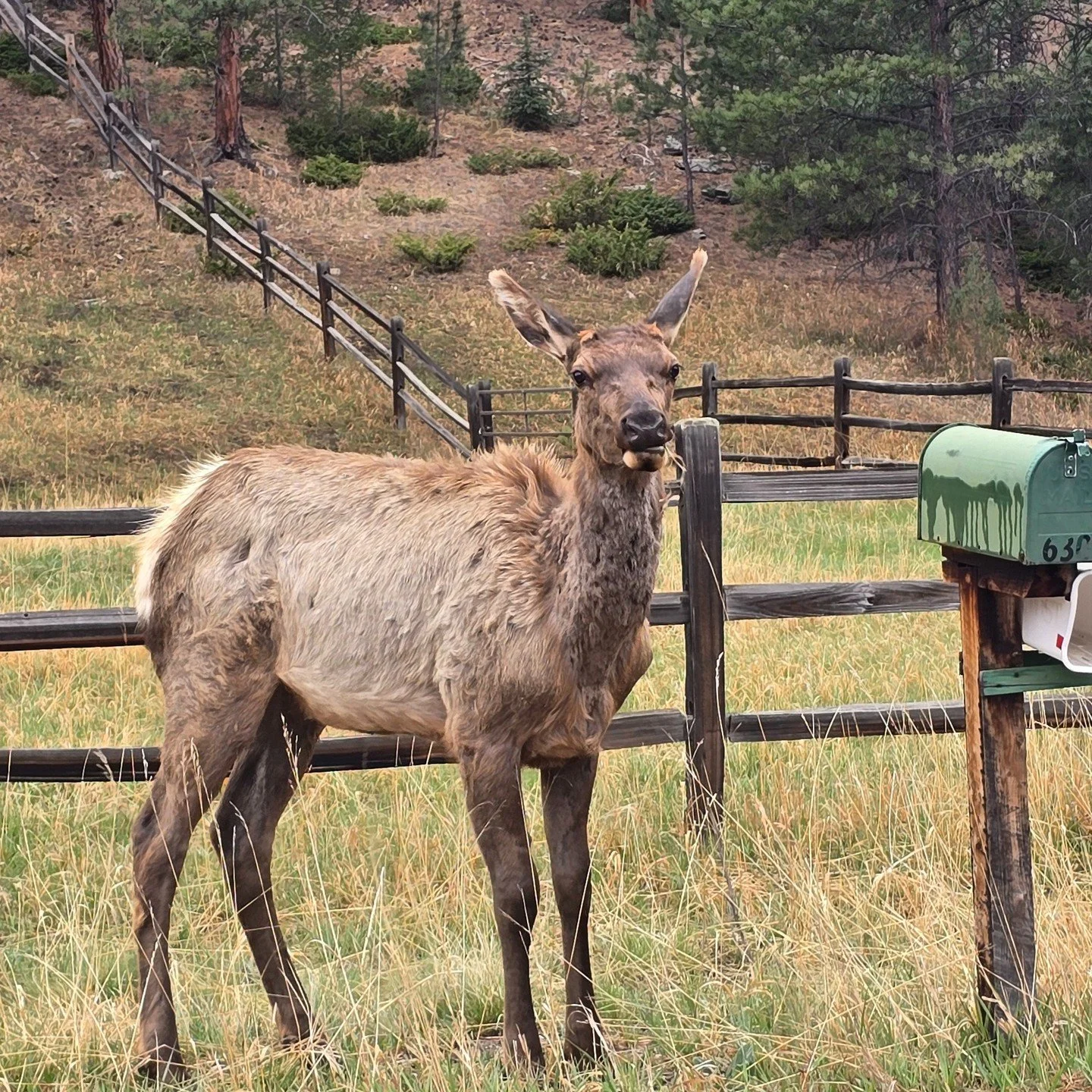 Got some visitors in the area!