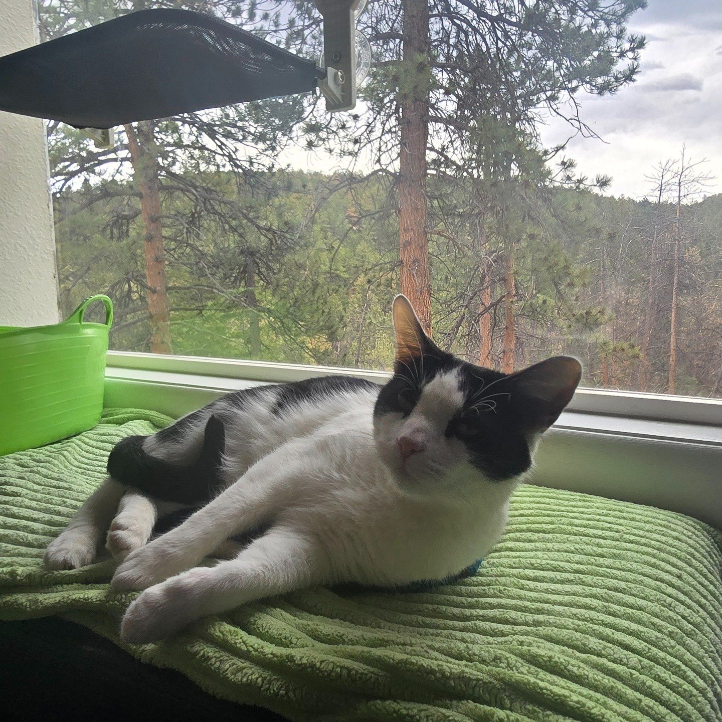 Archie is enjoying the VIP life this stay! The wildlife has been very active lately and that view from that room is just gorgeous!