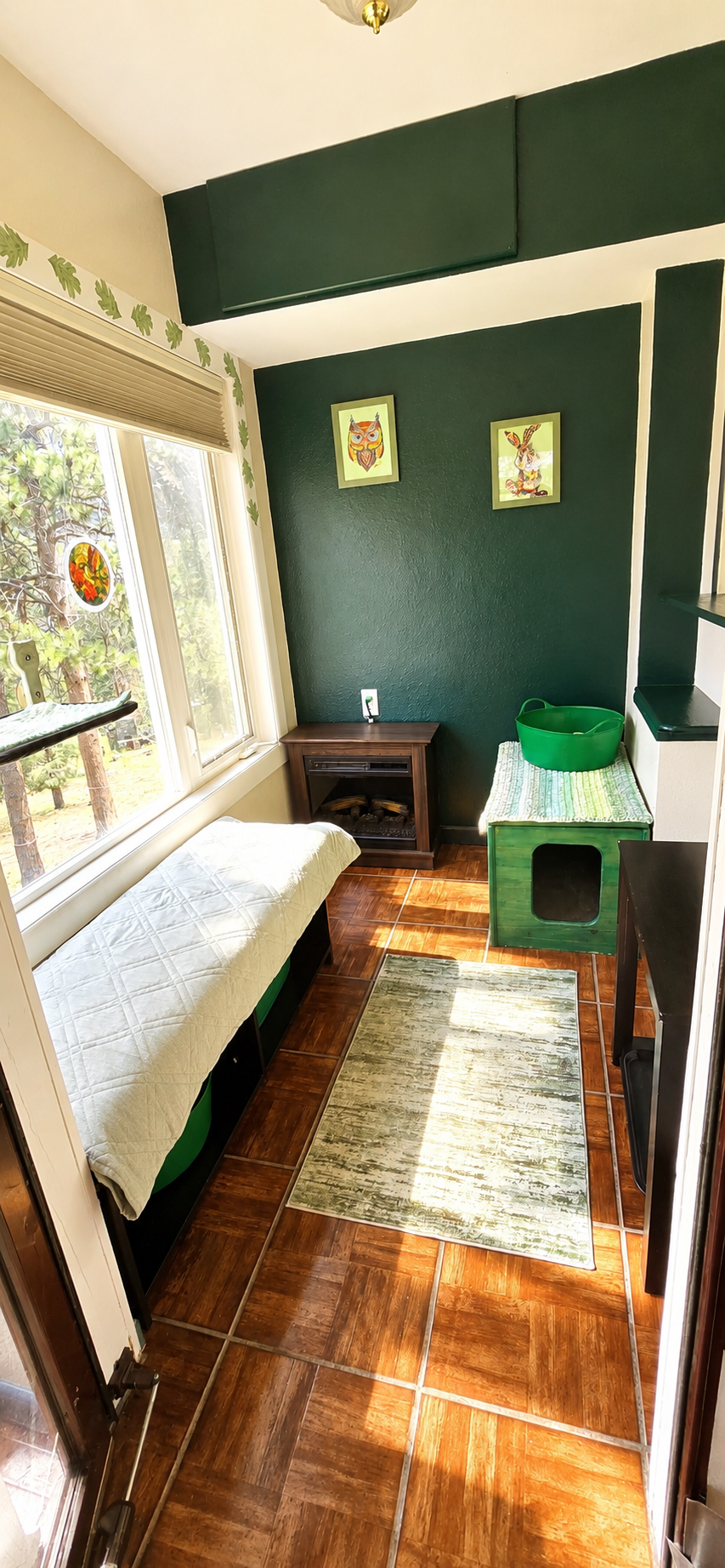 A sunlit pet grooming or spa room with a white cushioned table near the window, green accents, animal-themed artwork on dark green walls, and a green dog house or kennel in the corner.
