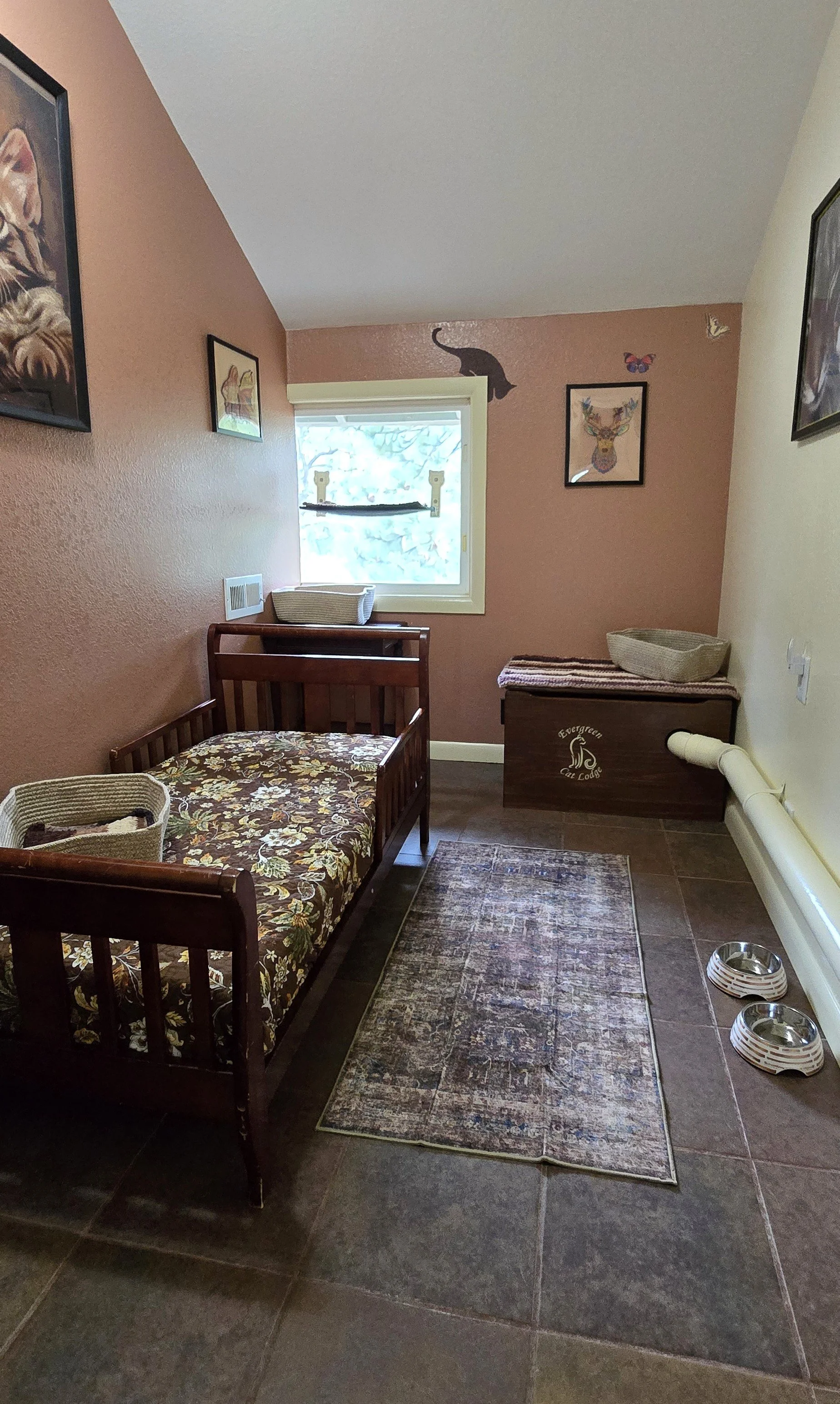 room 31.jpg