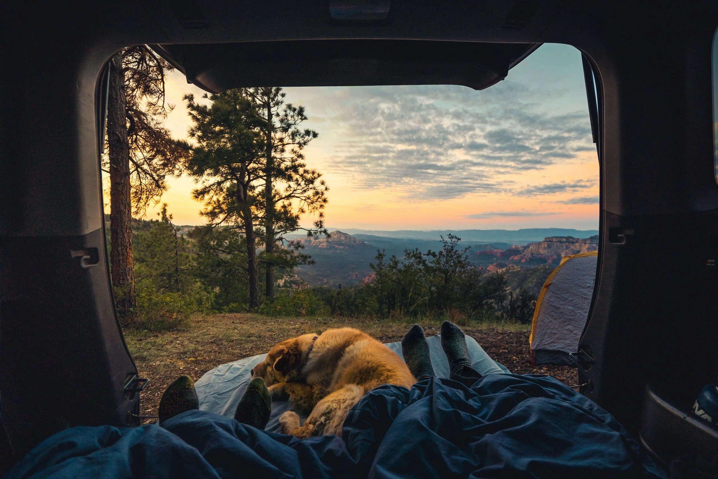 View from inside a vehicle looking out onto a scenic landscape with trees, mountains, and a sunset sky, with a dog lying on the ground and a person relaxing with their feet up.