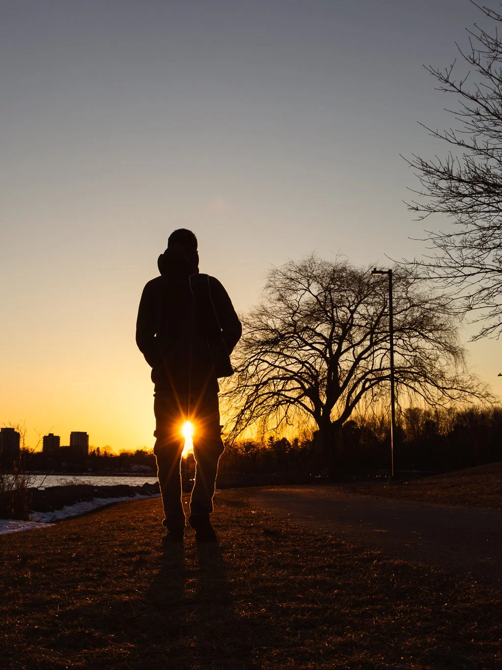 A silhouette of a person standing outdoors during sunset, with leafless trees and a city skyline in the background.