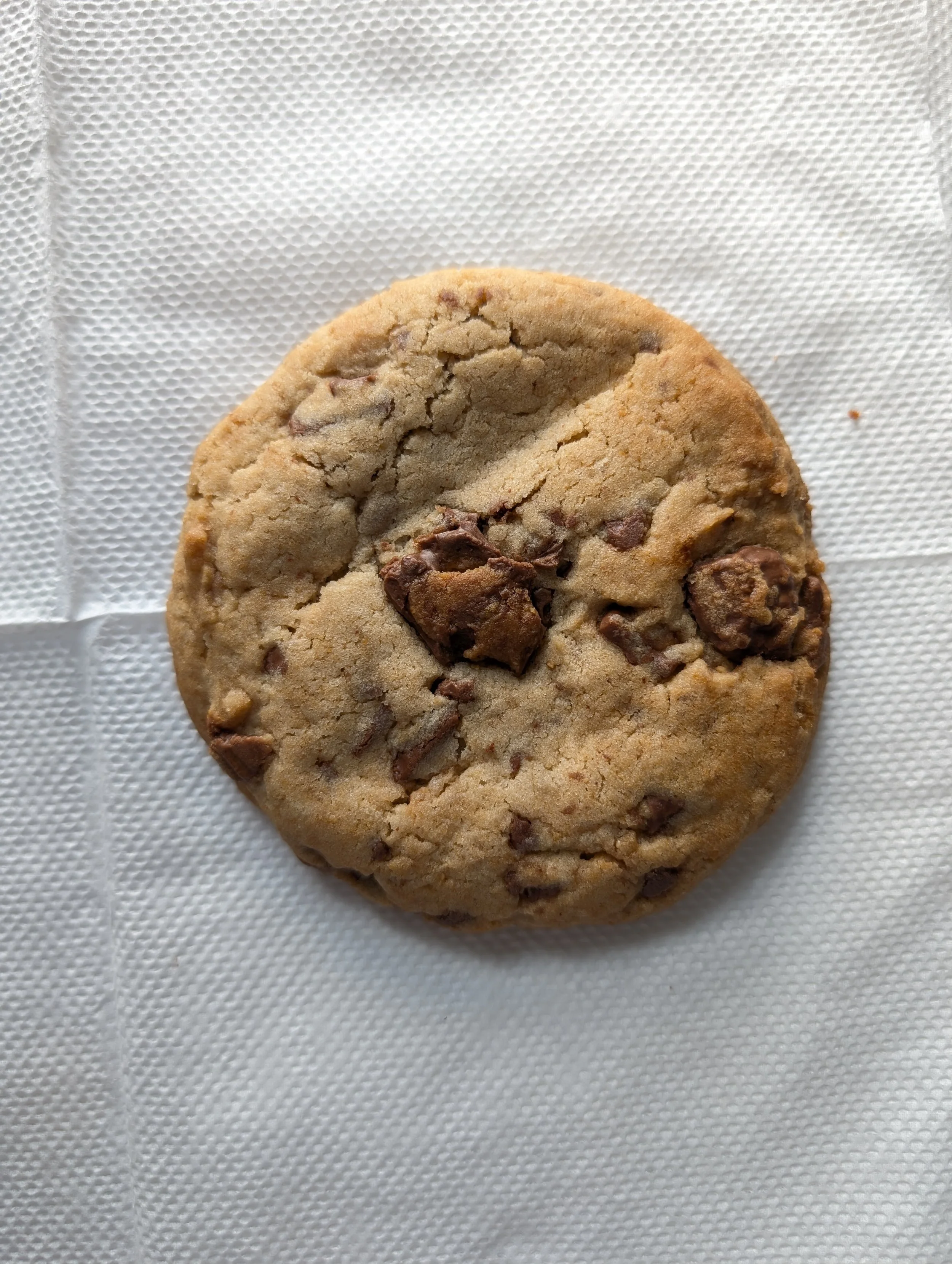 Choconut Cookie