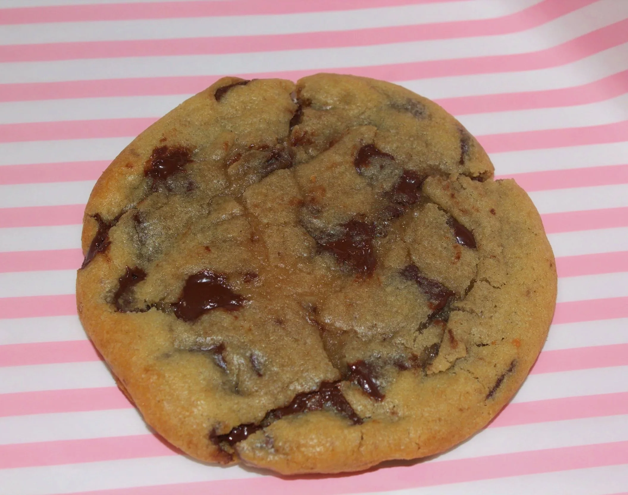 Choco Chip Cookie