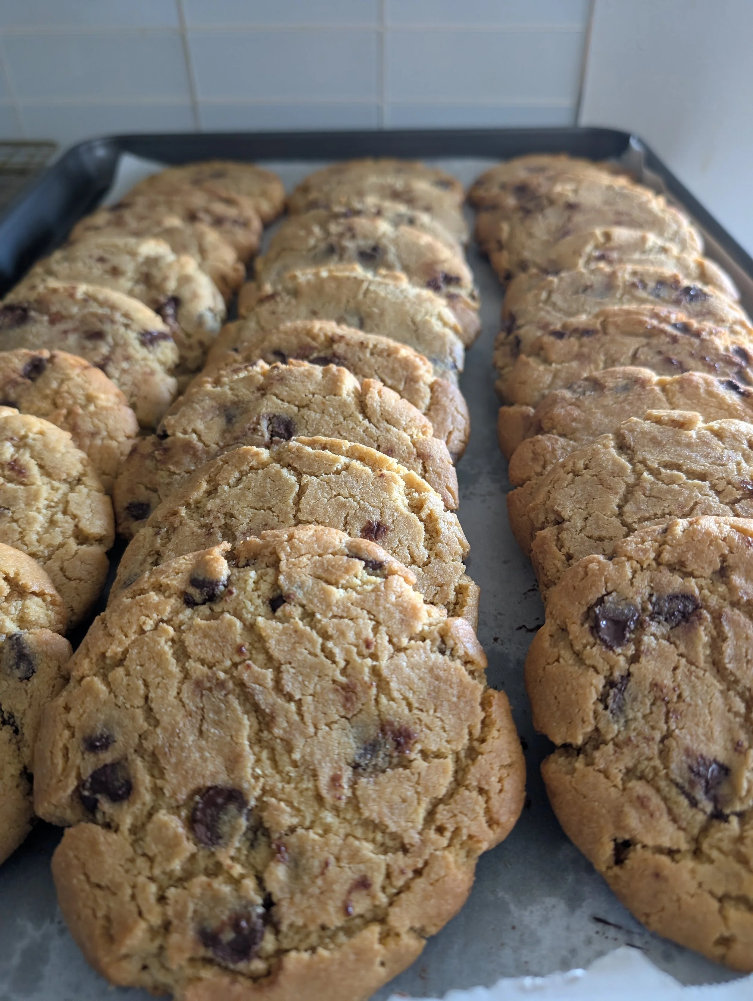 Gluten Free Choco Chip