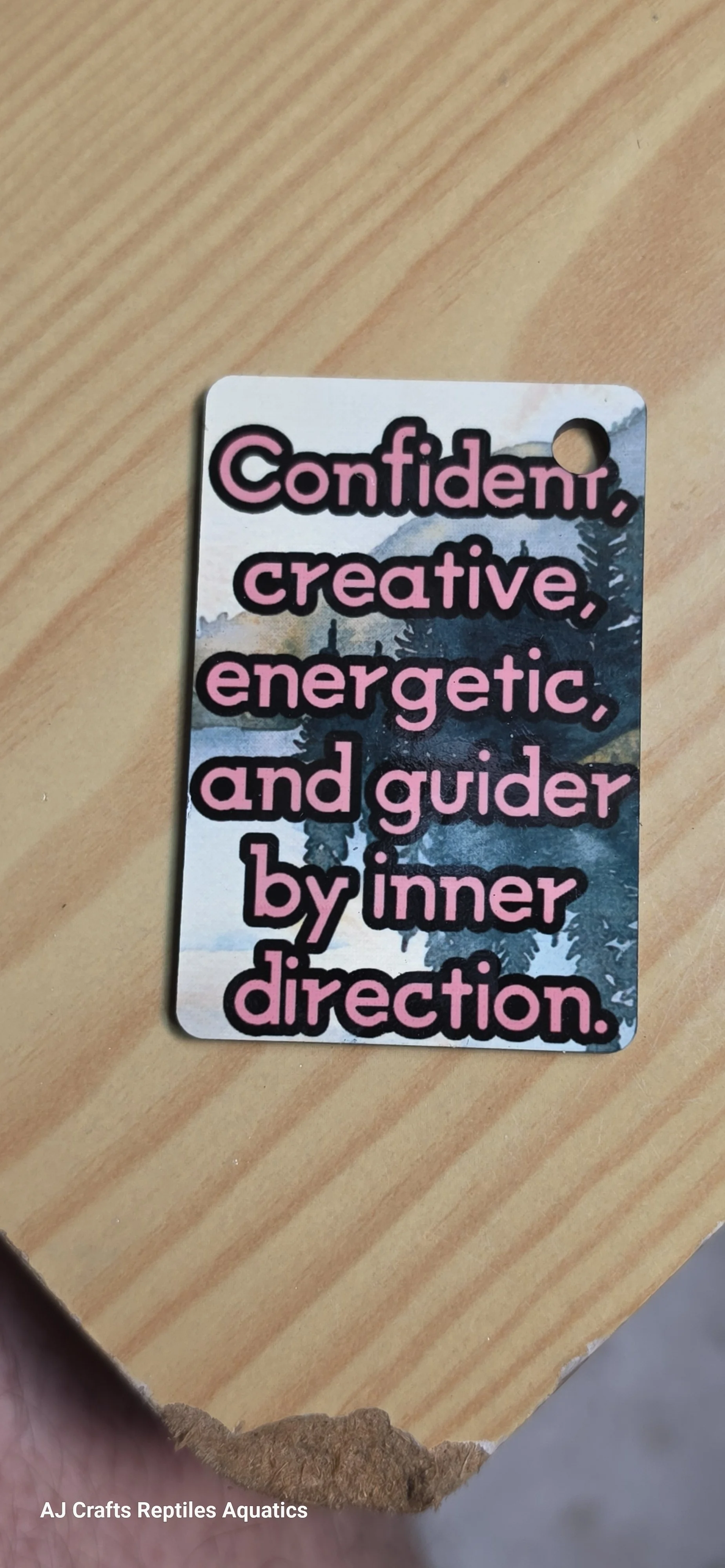 20260721_032330.jpg