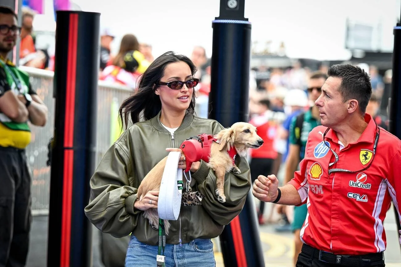 IMG_20260704_111016_894.jpg