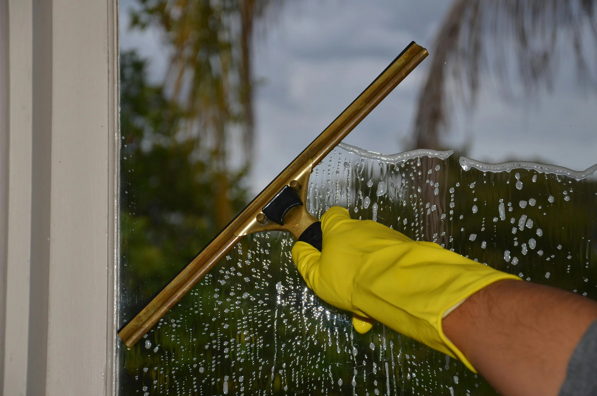Exterior Window Cleaning