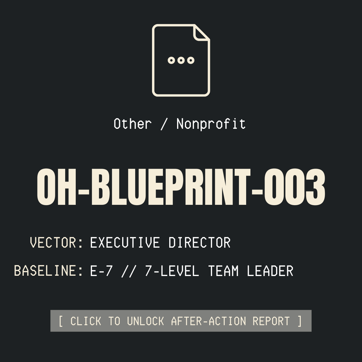 003: Nonprofit Executive Director
