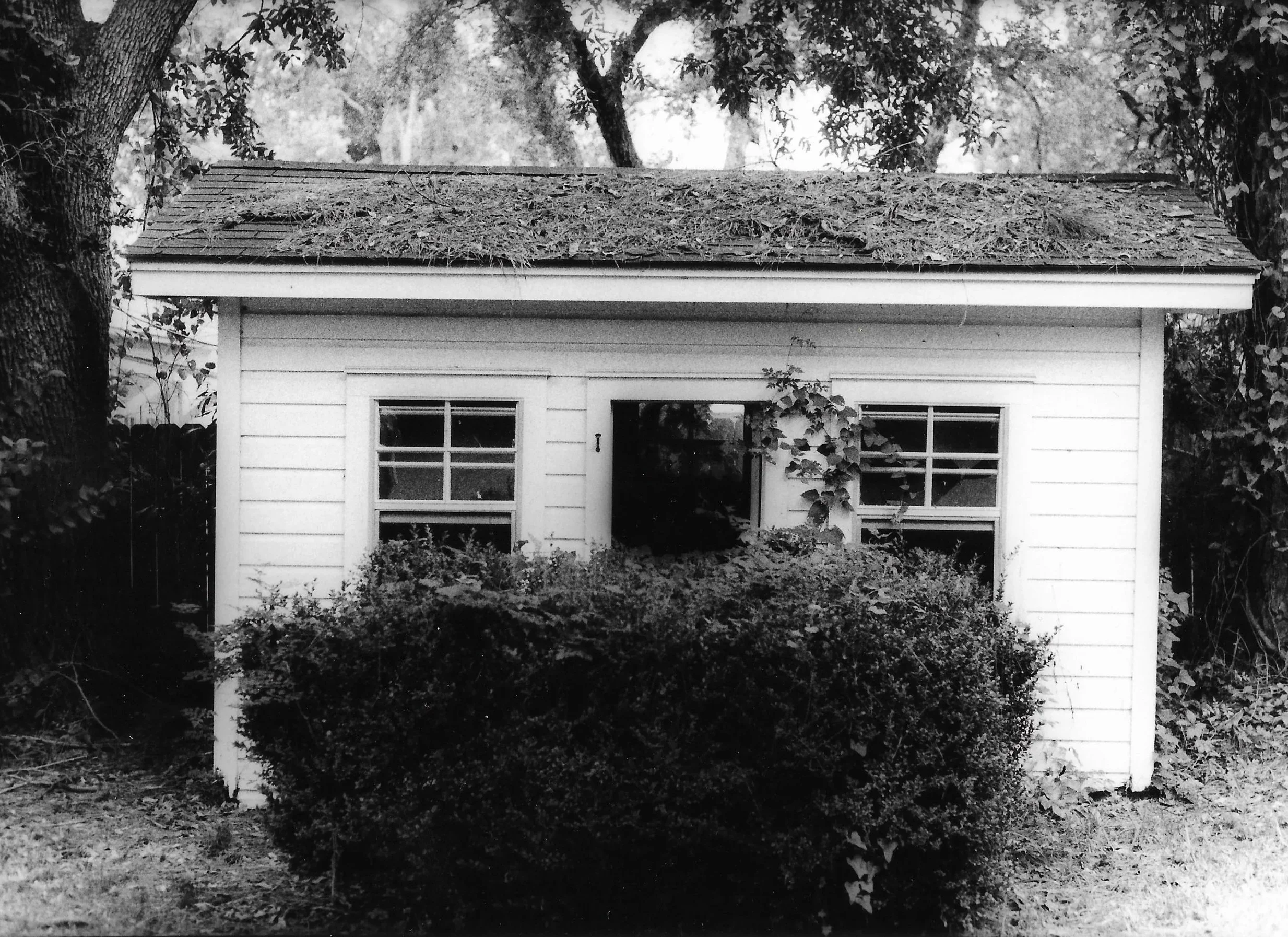 Playhouse.jpg