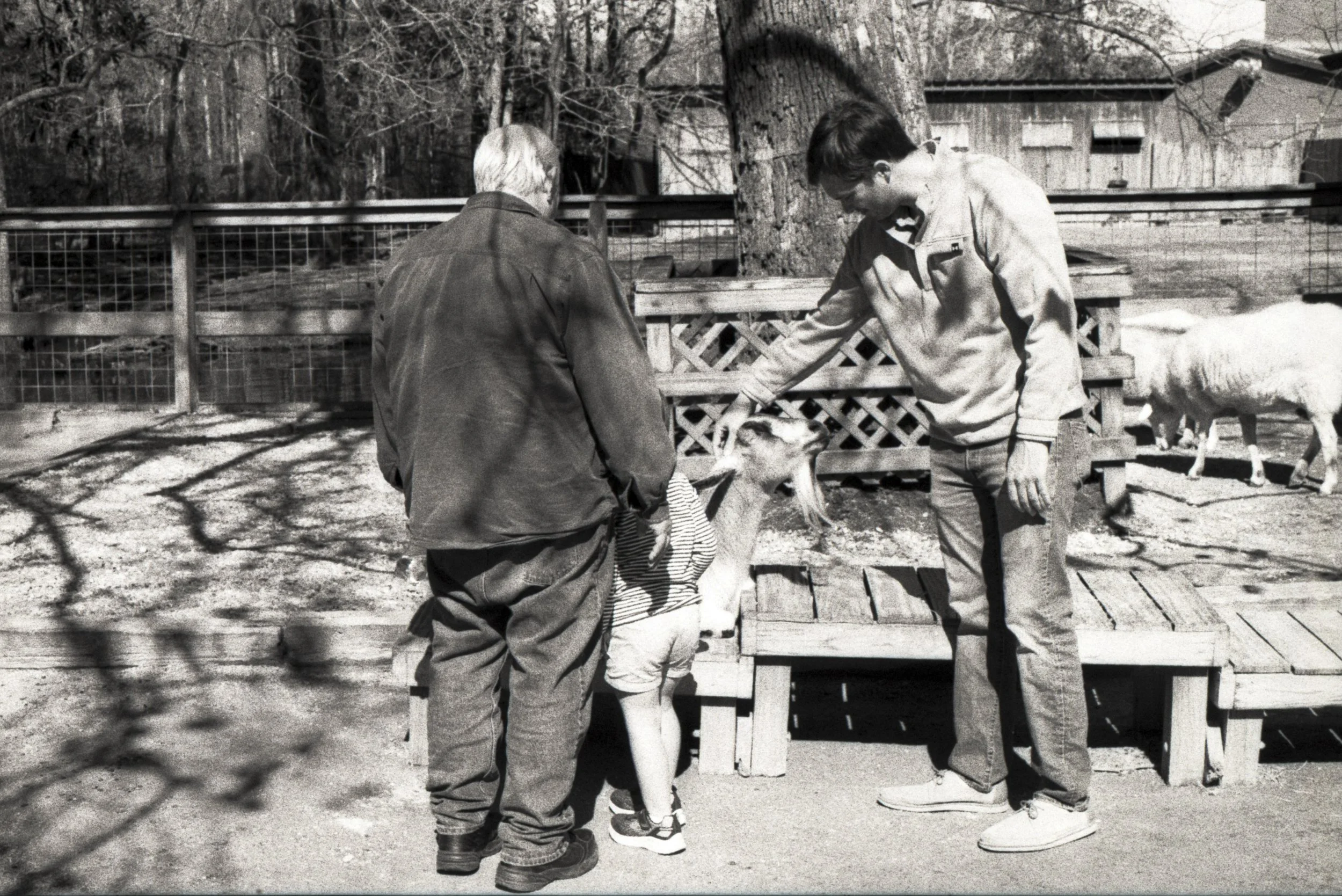 bwfilm-5.jpg