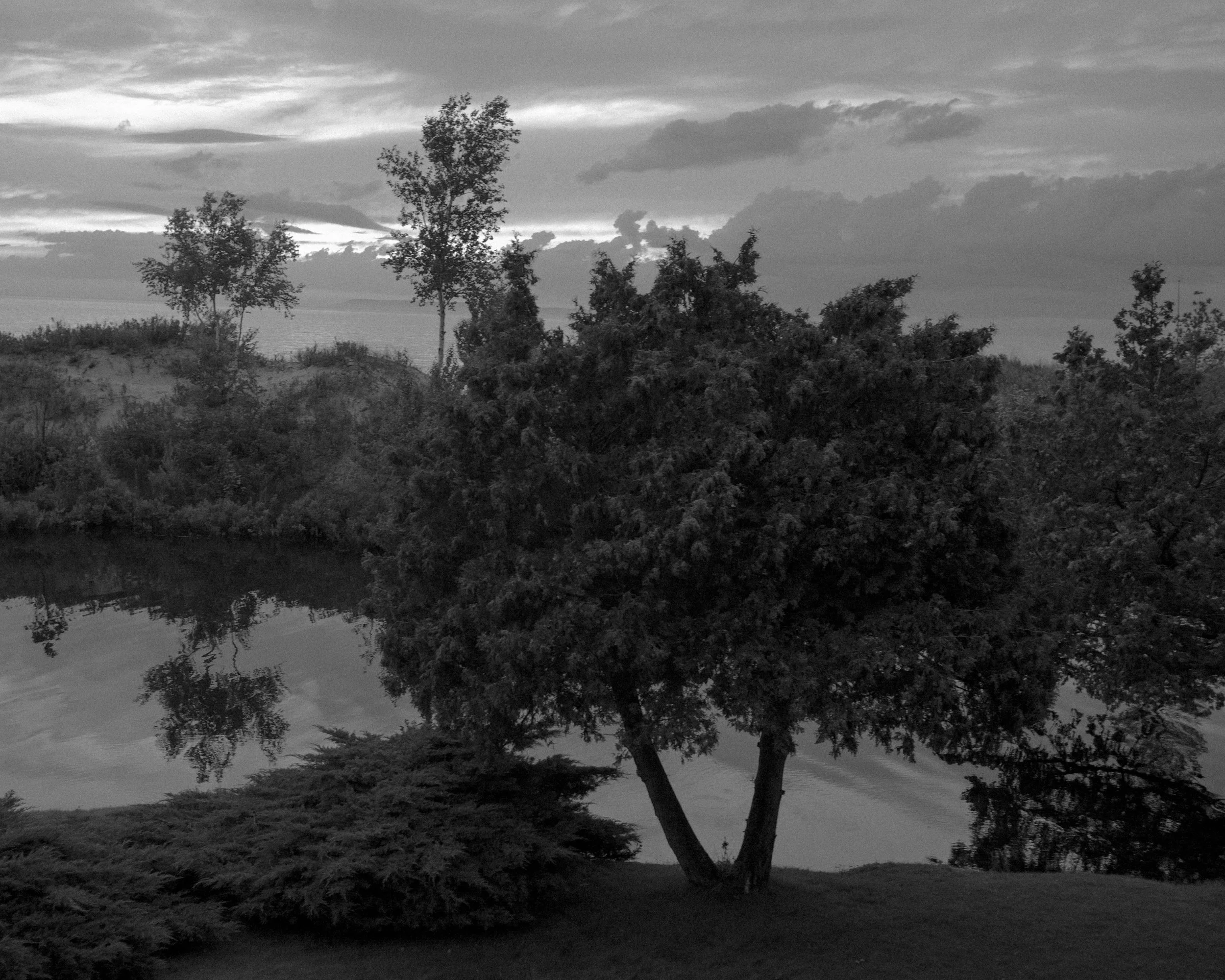 P1001760.jpg