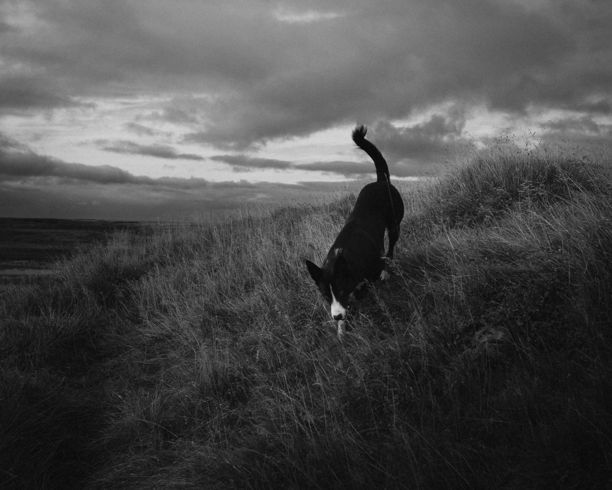 L1004983.jpg