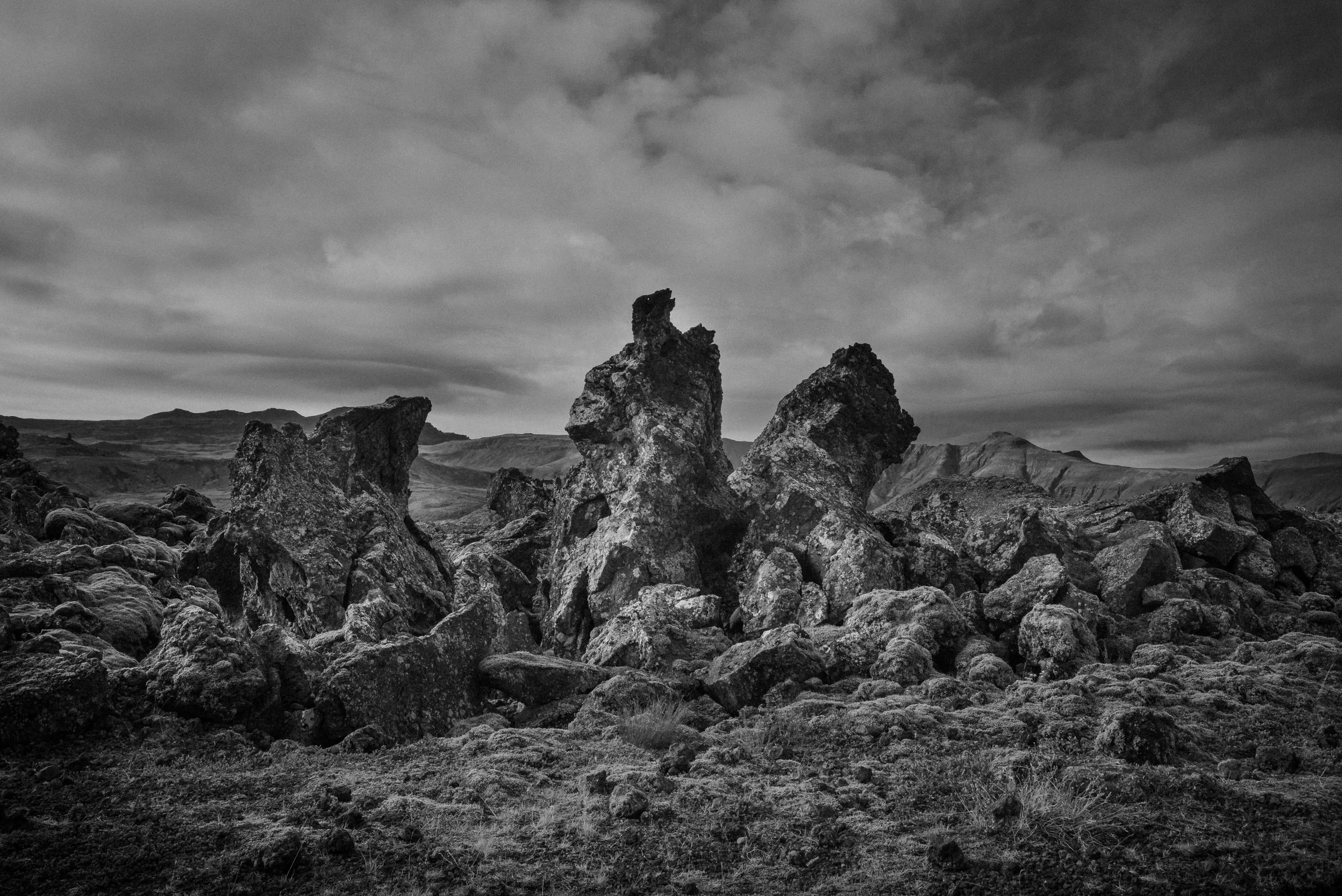 L1004619.jpg