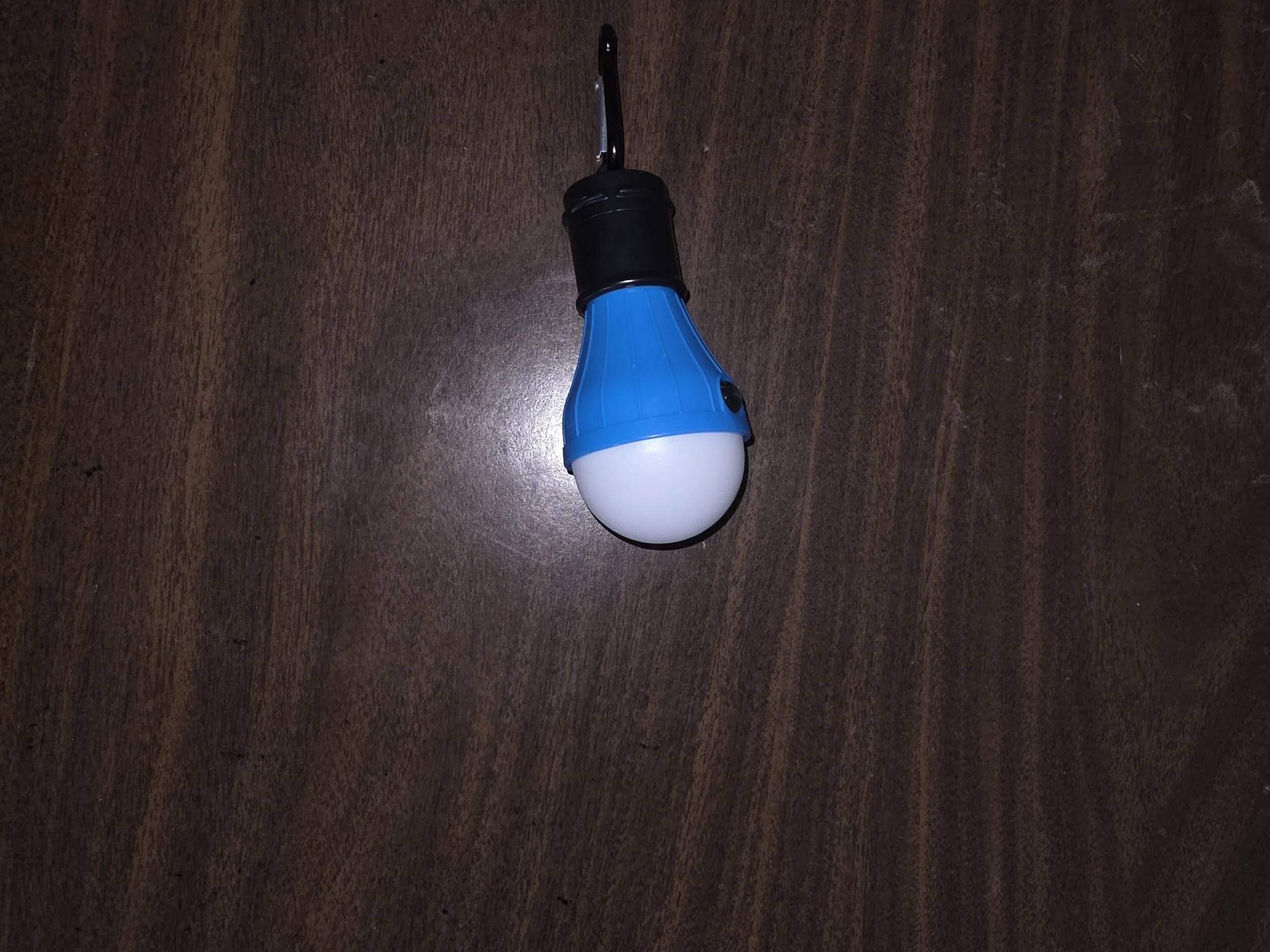 Portable LED Hanging Bulb