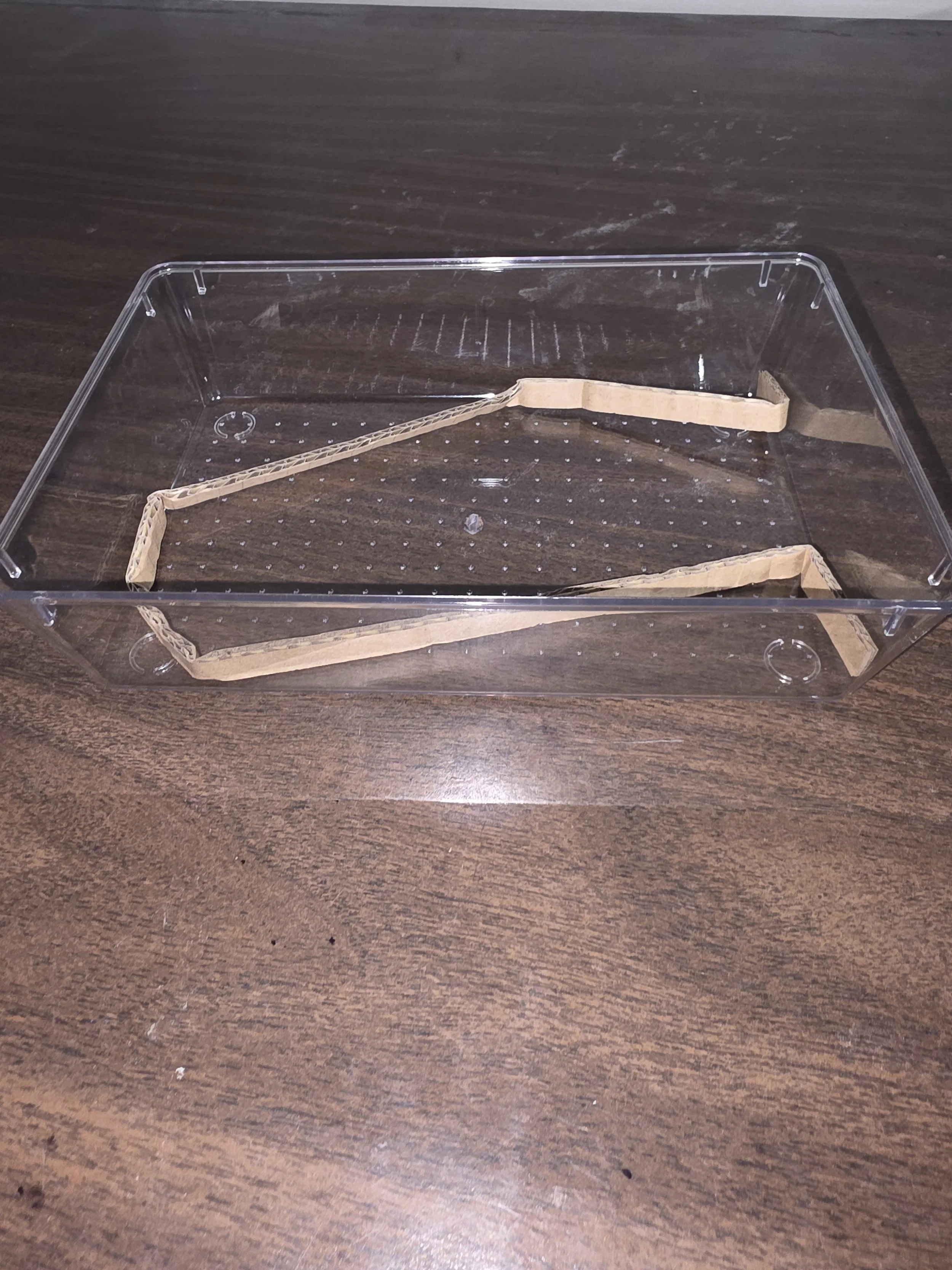 Clear Acrylic Organizer Tray