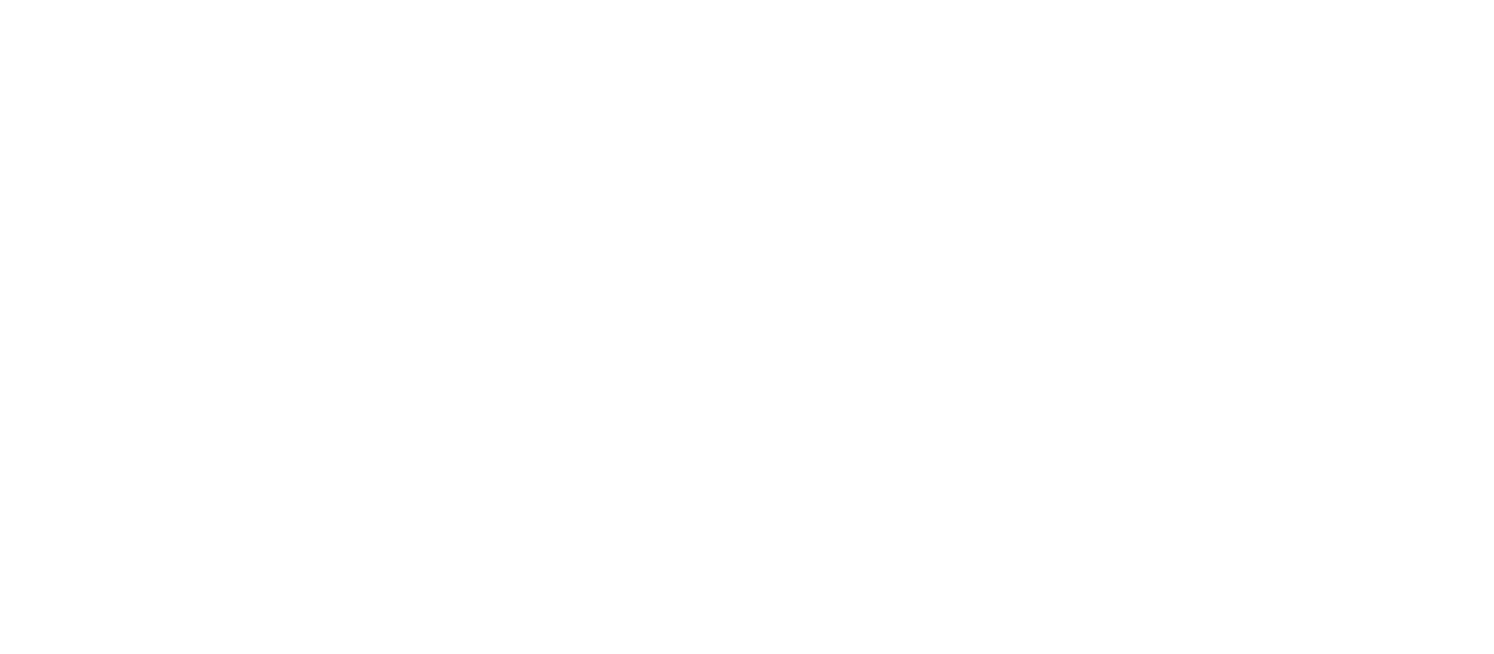 DS Academy