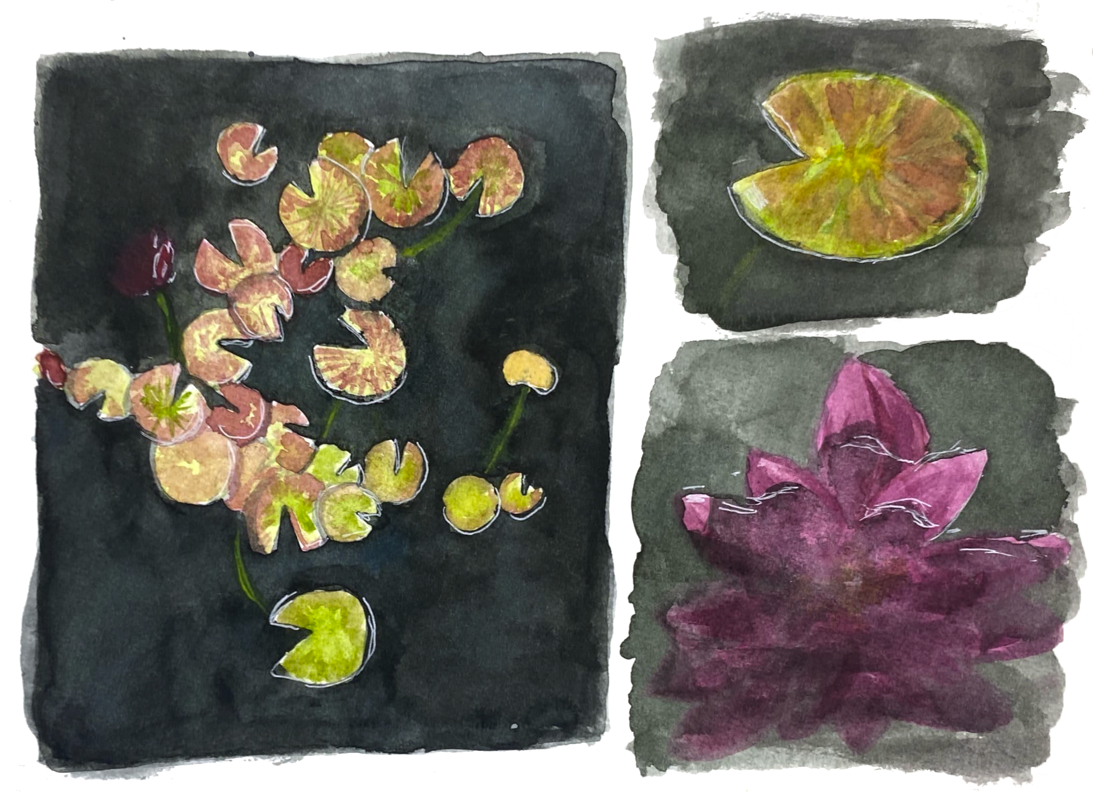 denver+botanic+gardens_inspiration+painting_lillypads.png