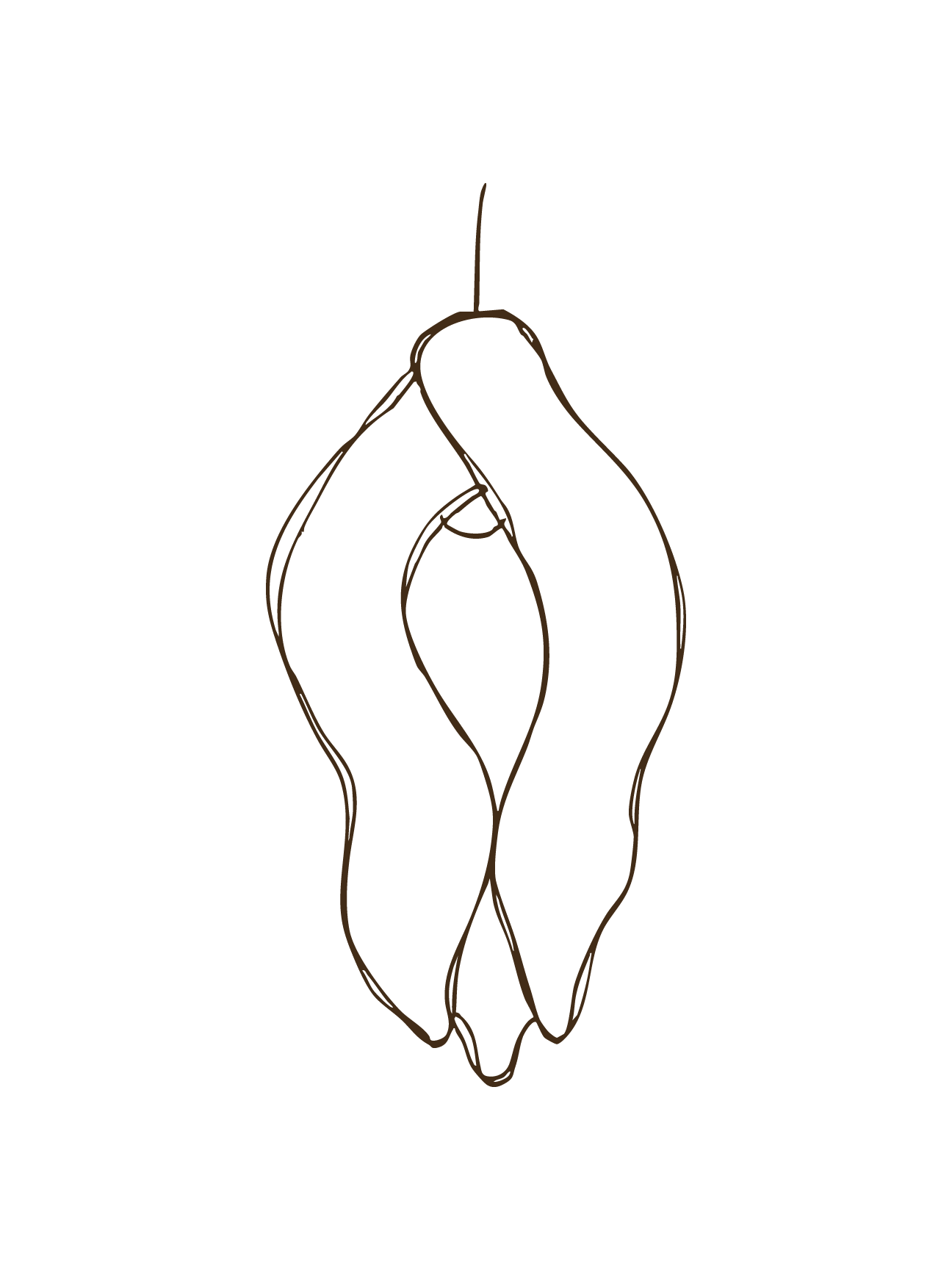 sketch_6.png