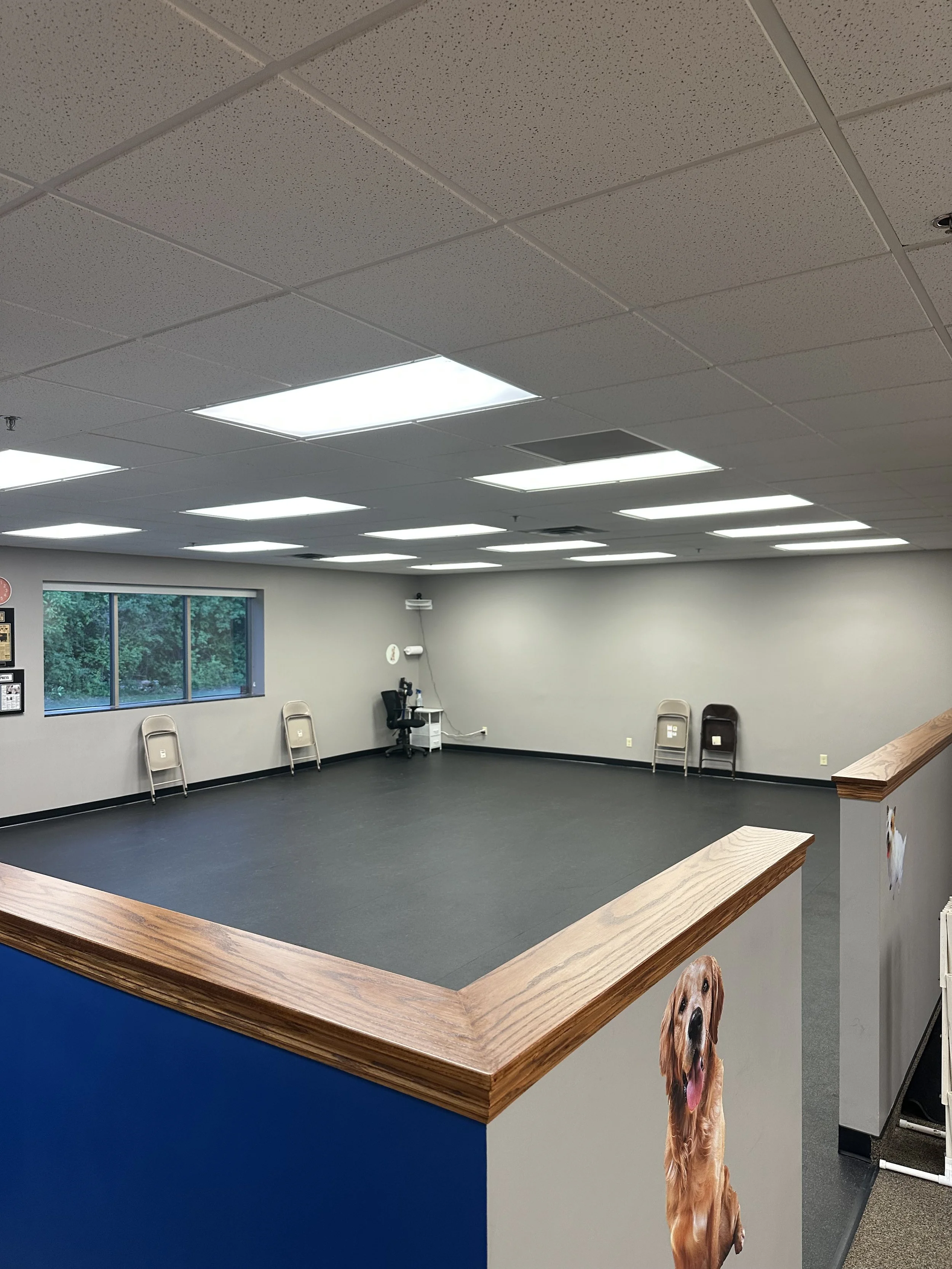 An indoor room with a drop ceiling and fluorescent lighting, chairs along the wall, window showing greenery outside, and a reception desk with a dog picture on the side.