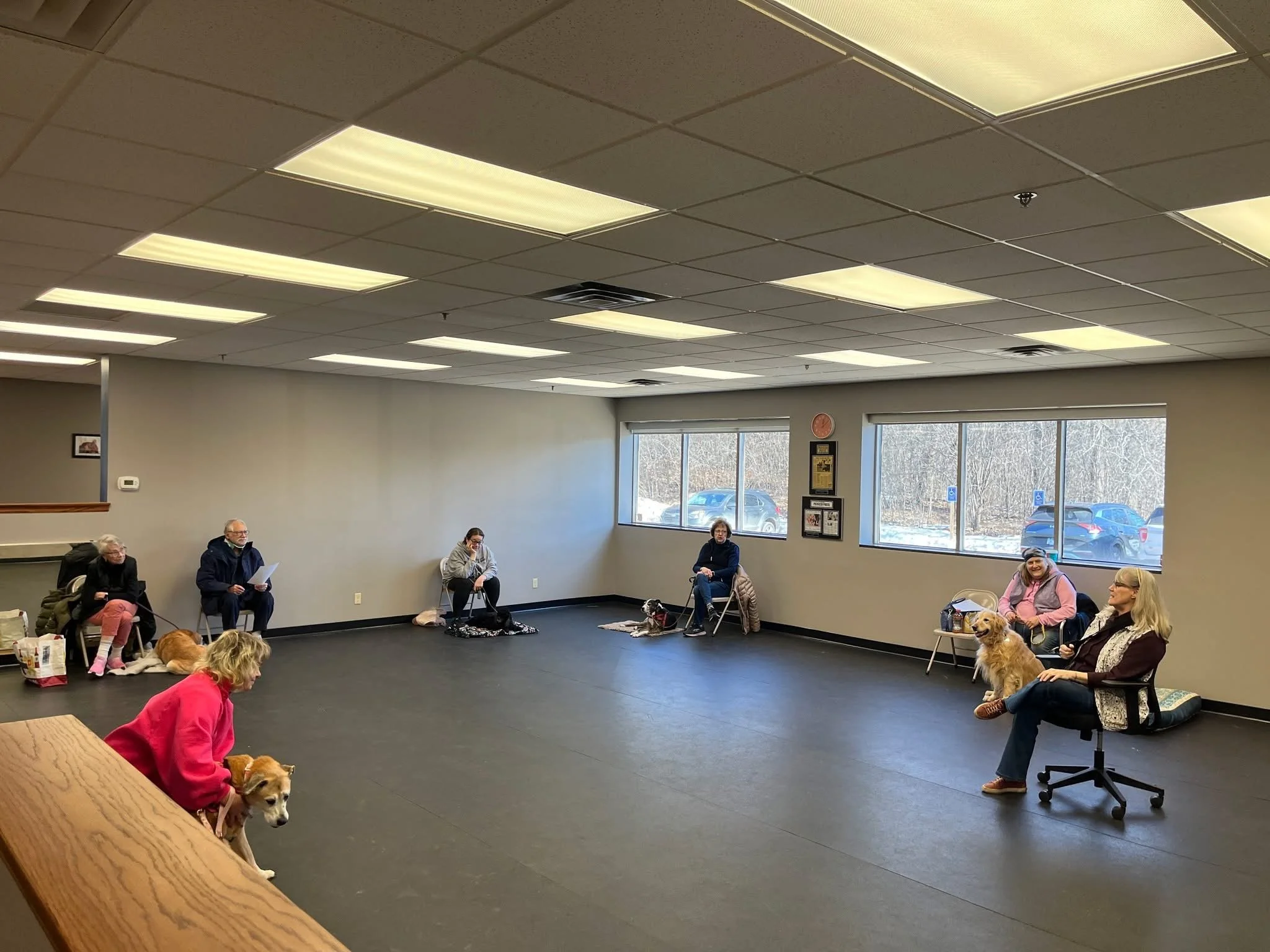 A spacious room with ceiling lights, large windows, and people sitting on chairs or the floor with dogs, some dogs on laps or on the floor, engaged in a group activity or training session.