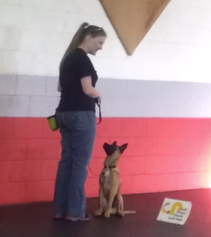 A woman and her dog at an indoor training or obedience class. The woman is holding a leash while the dog sits attentively.