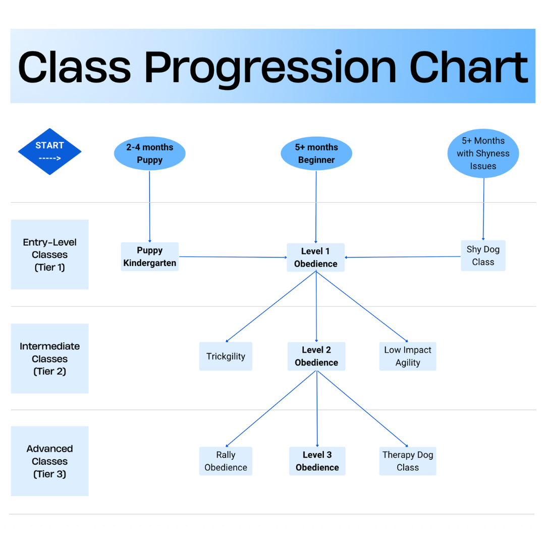 Flowchart titled 'Class Progression Chart' illustrating dog training classes from start to advanced levels with progression conditions and special issues.