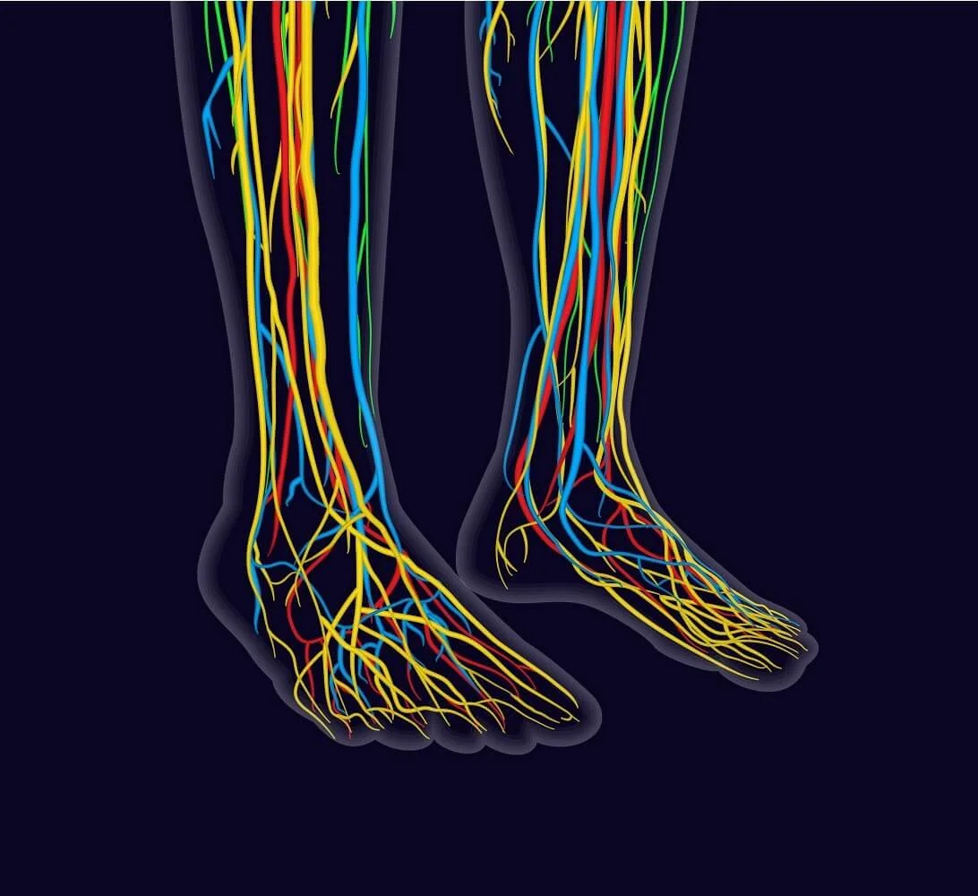 CMAT vascular assessment to evaluate blood flow and foot health in westchester, ny