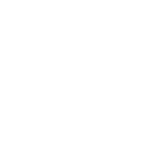 Line drawing of a lion's profile on a black background.