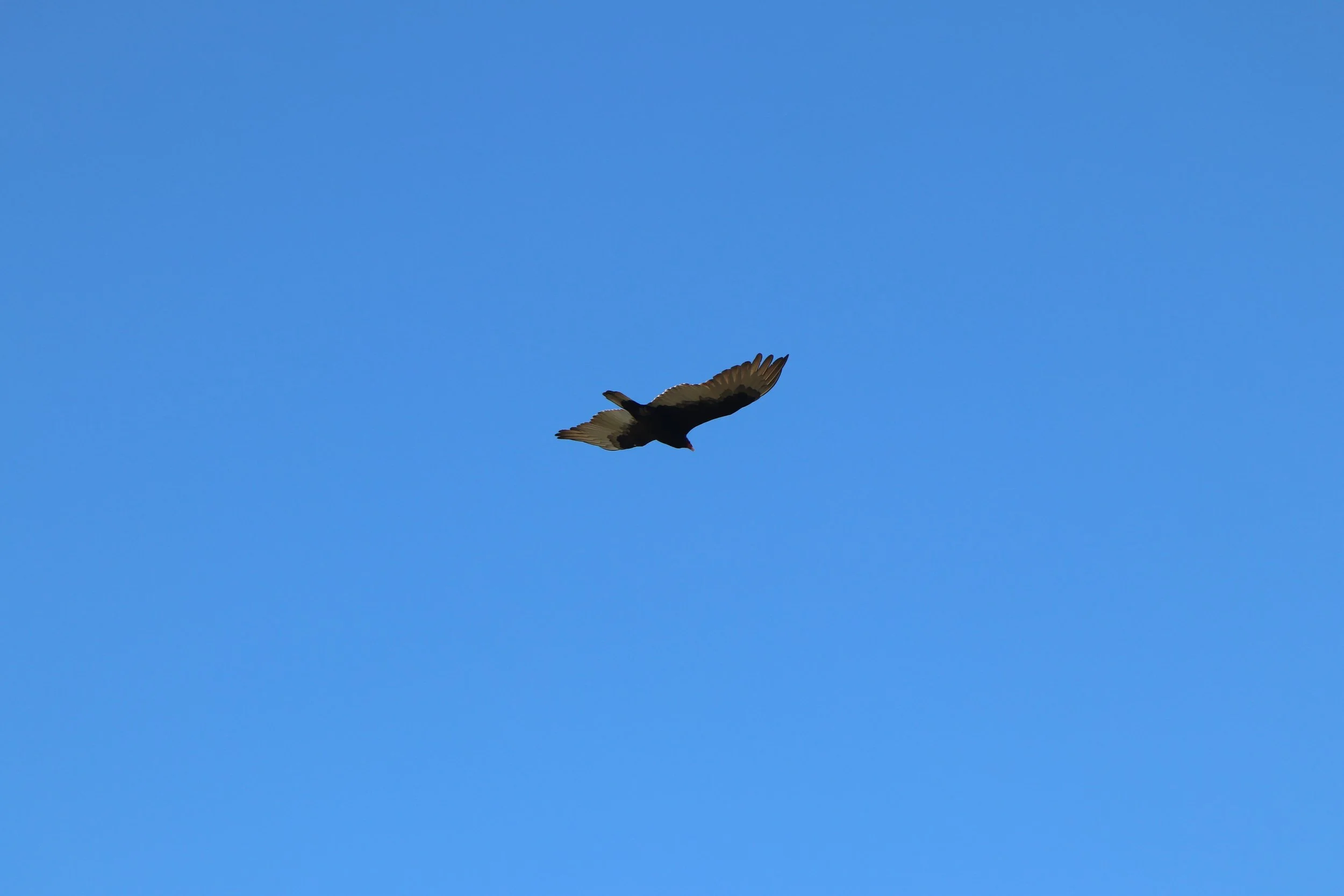 7518871808_IMG_0222.JPG
