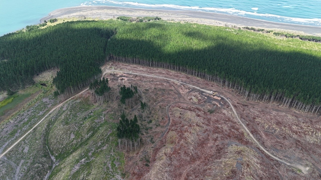  Harvesting for Tainui Kawhia Incorporation