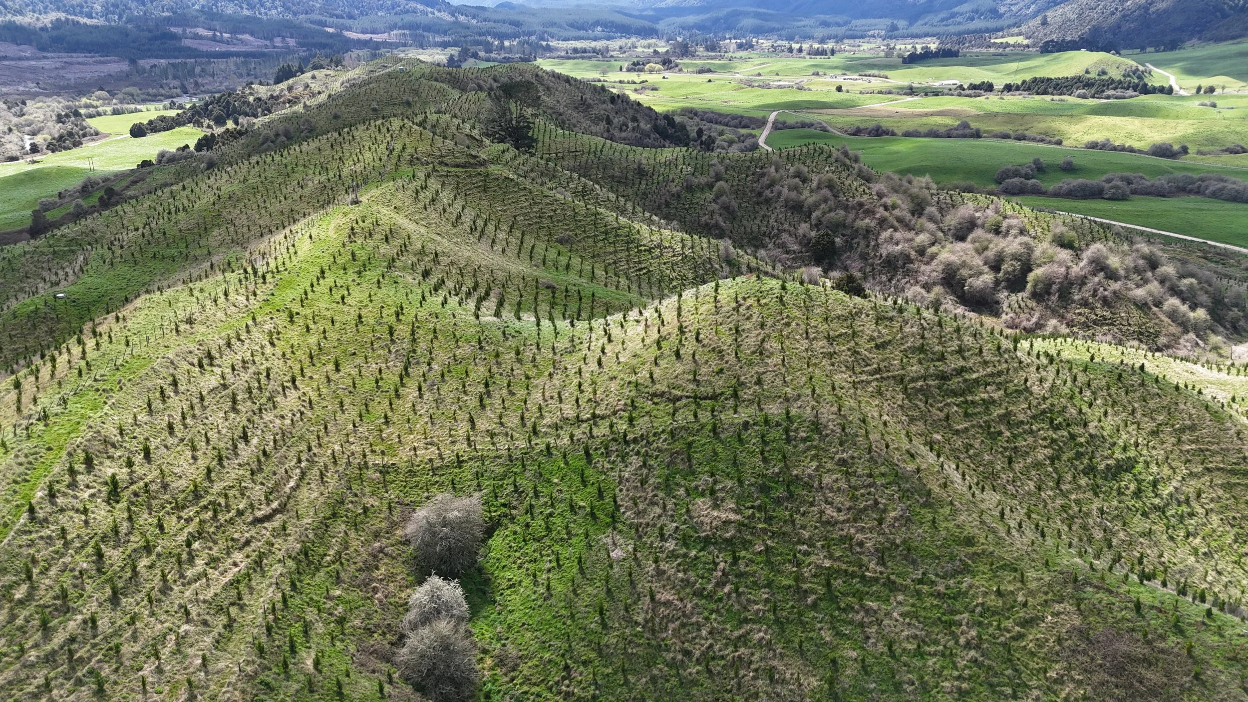 dji_fly_20260930_125210_0860_1790725975384_photo.jpg