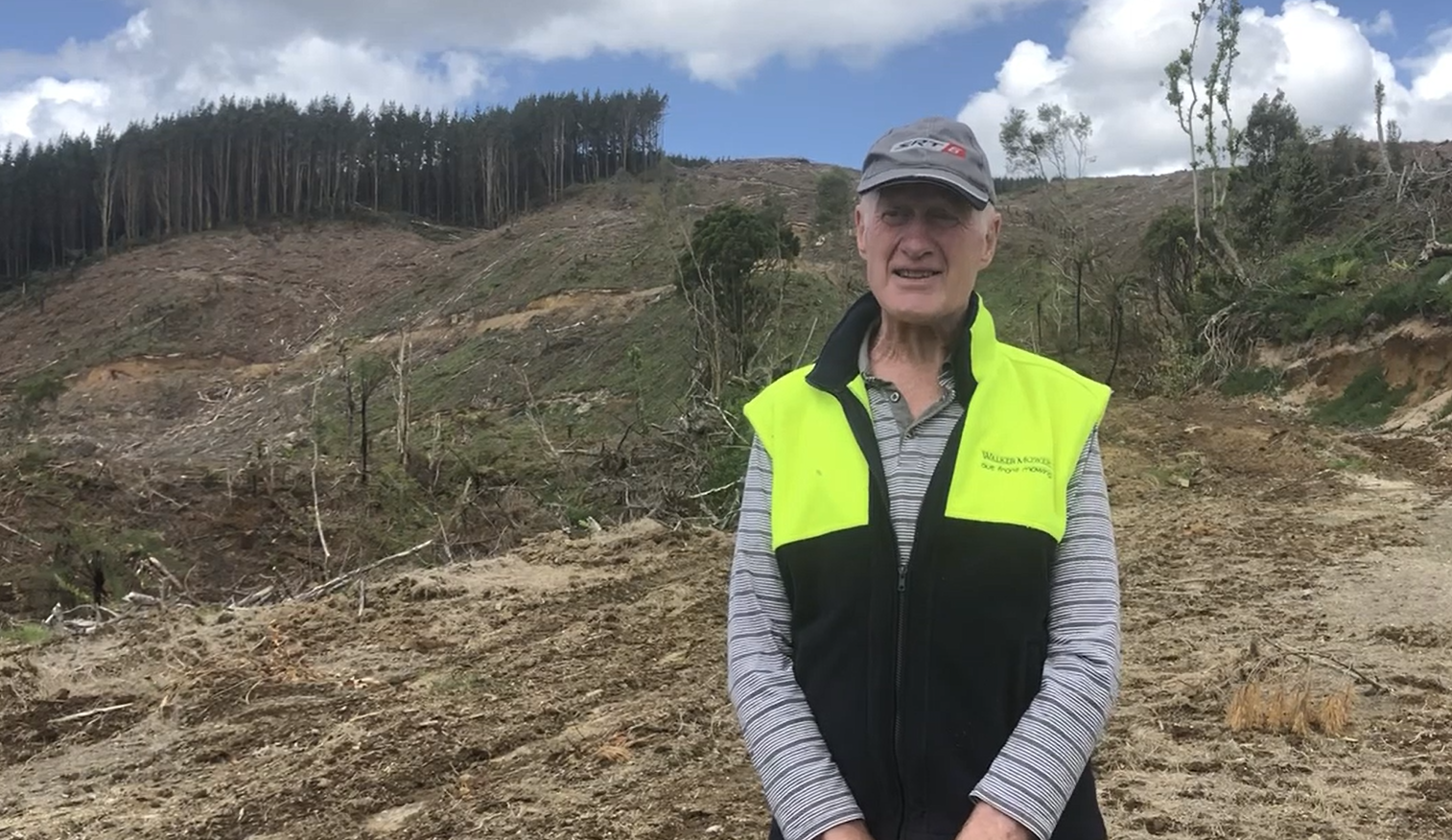 An elderly man wearing a gray cap and a yellow and black vest stands outdoors in a deforested landscape with damaged trees and a hillside in the background.