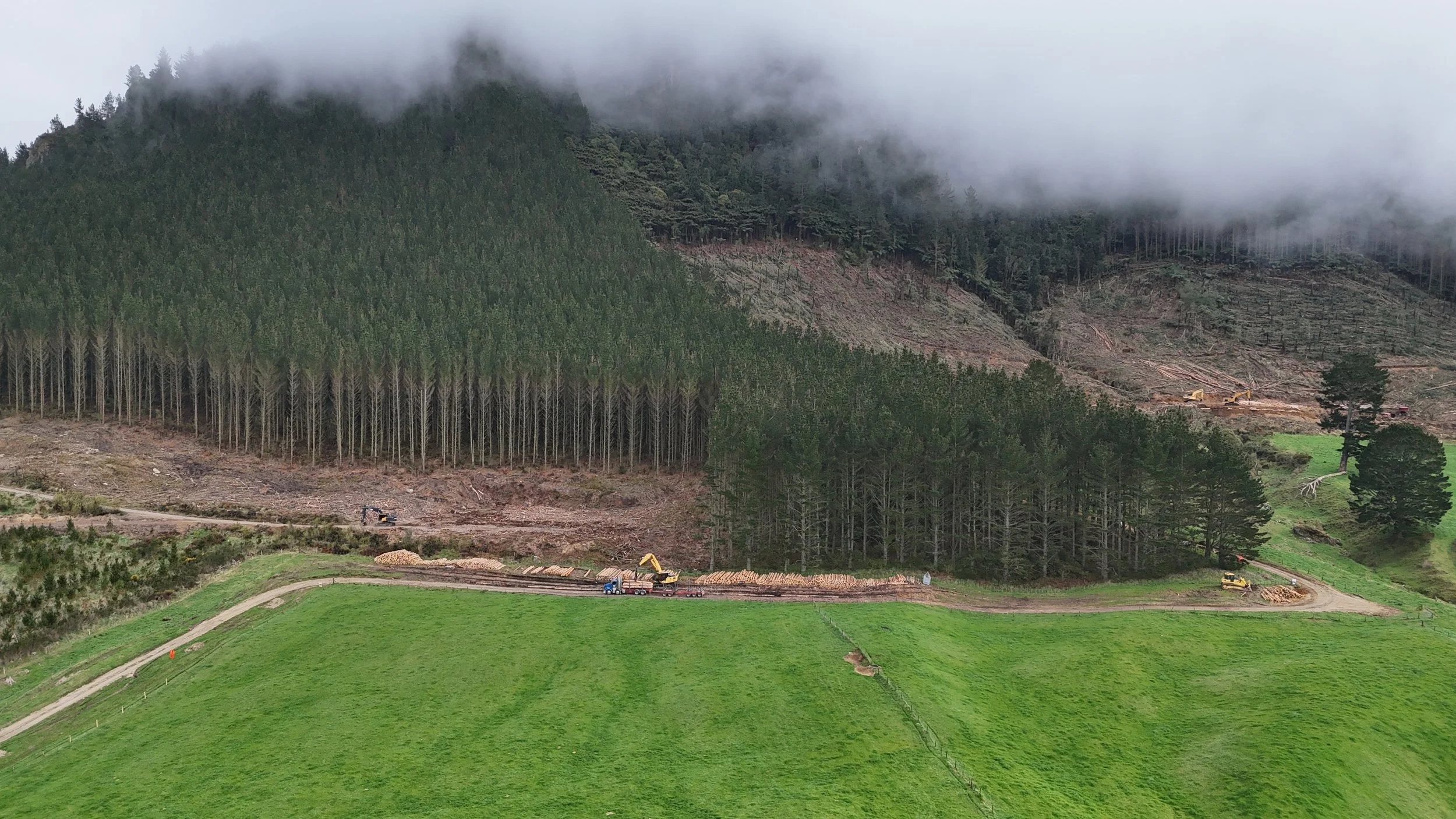 dji_fly_20261001_090520_0863_1790798889071_photo.jpg
