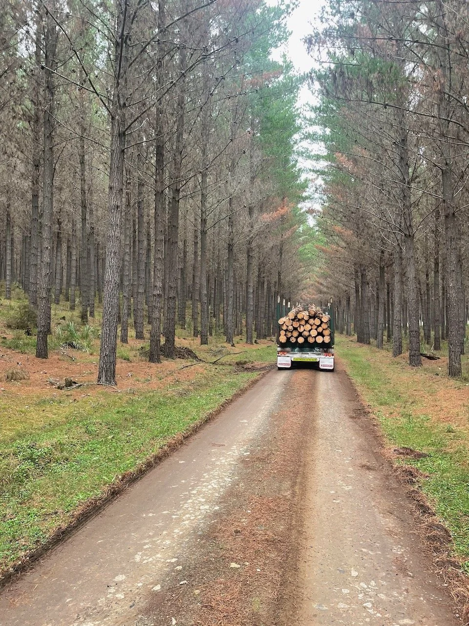  Harvesting for Tainui Kawhia Incorporation