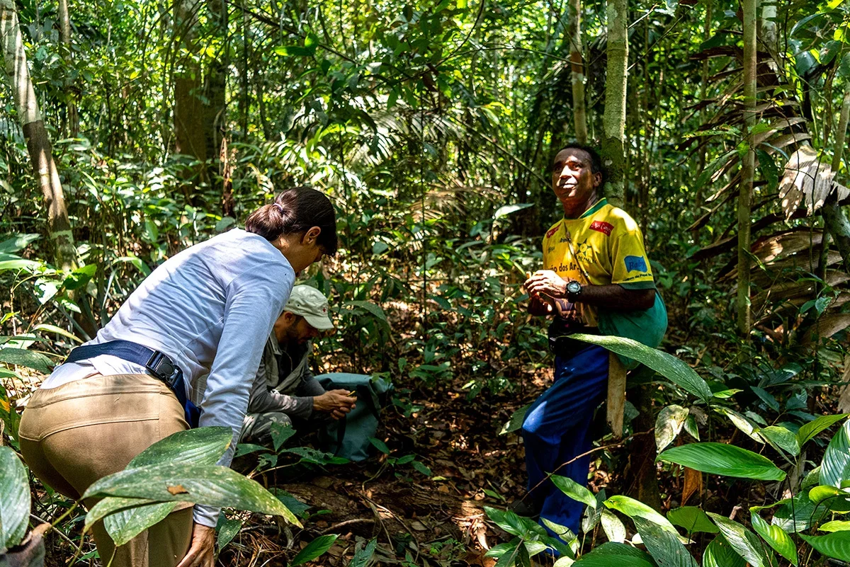 Conservation guide leading travellers through primary rainforest