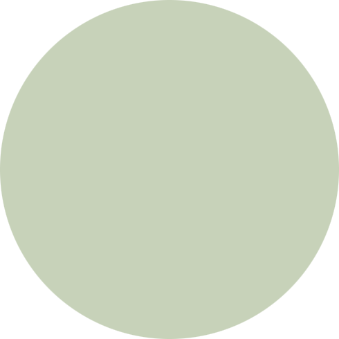 A light green circle on a black background.