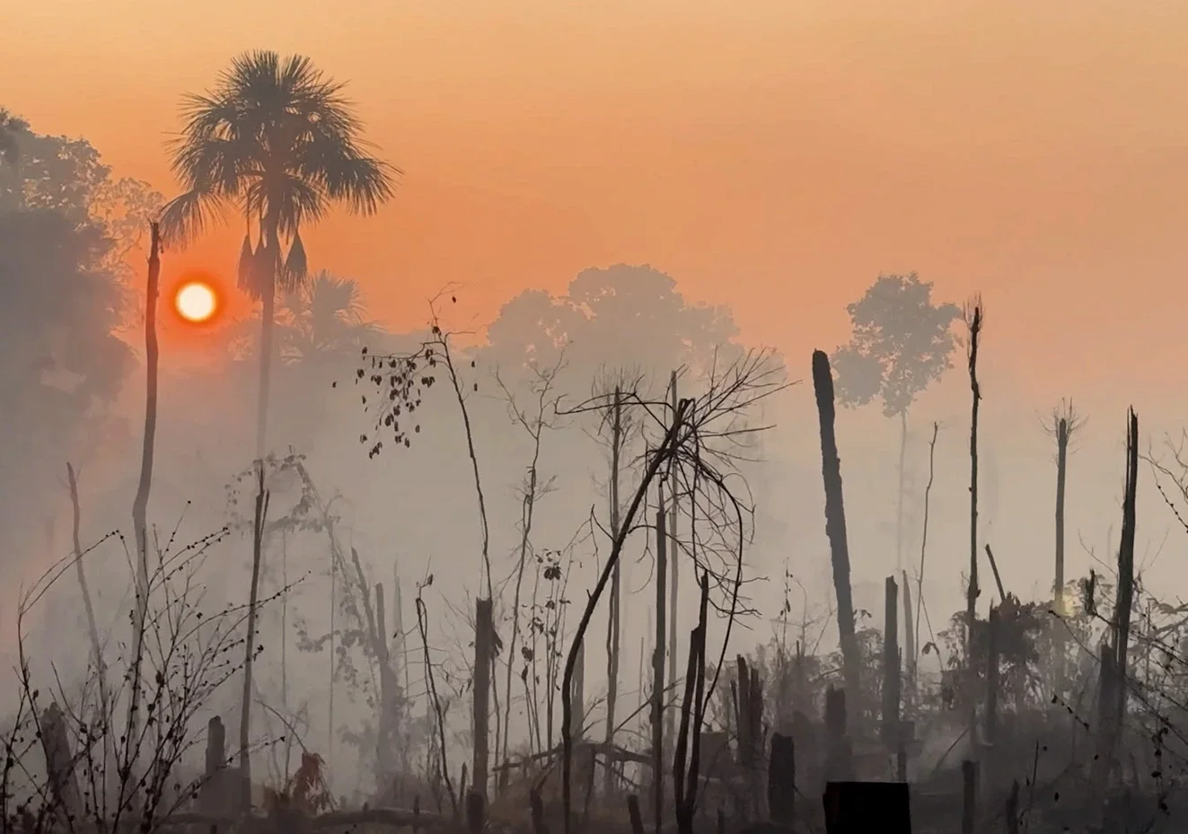 Deforestation and forest burning near the perimeter of the IEUNI conservation reserve