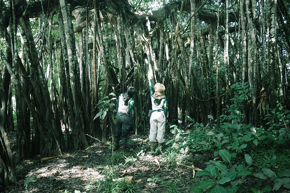 Field team, biodiversity and forest conditions inside the IEUNI conservation area