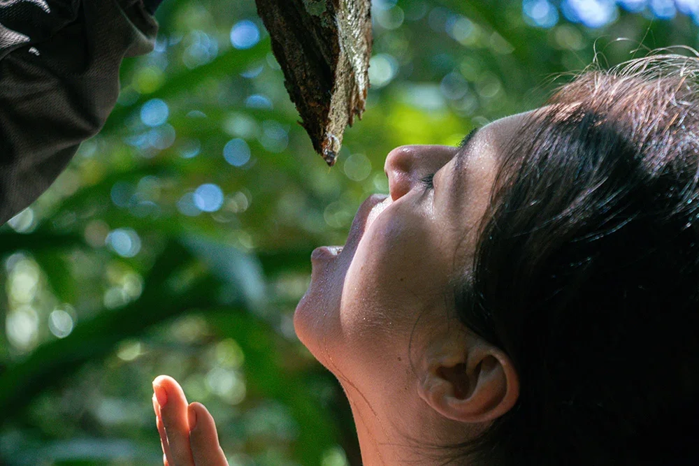 Traveller experiencing traditional rainforest knowledge with a local guide in the Amazon