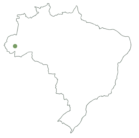 Outline of the country of Brazil with a green dot marking a location in the western part of the country.
