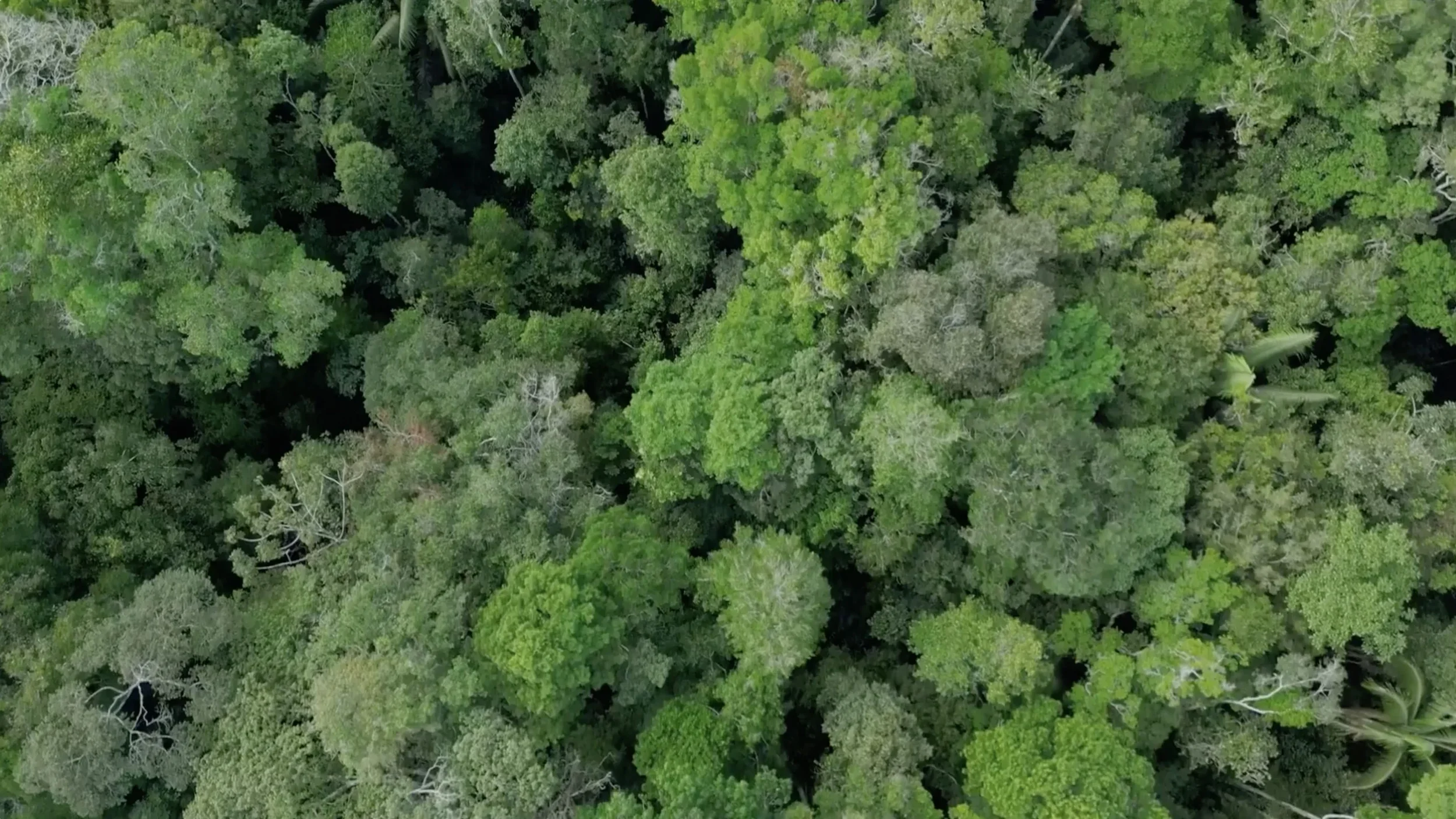 IEUNI_conservation_hero3_W.webp