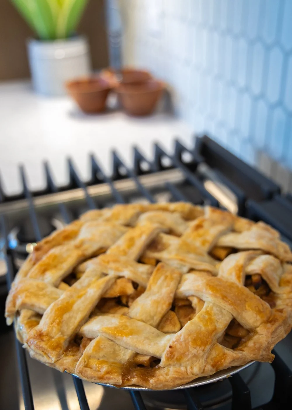 Apple_Pie_Optimized.jpg